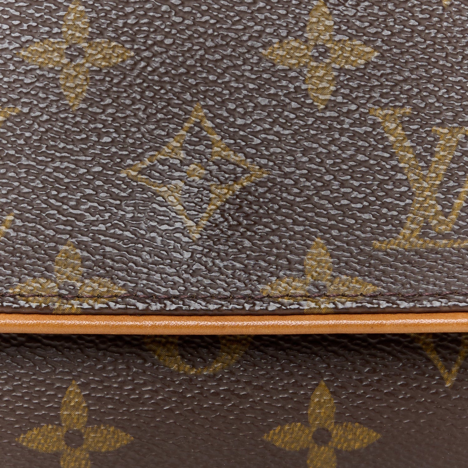 Monogram Pochette Twin PM