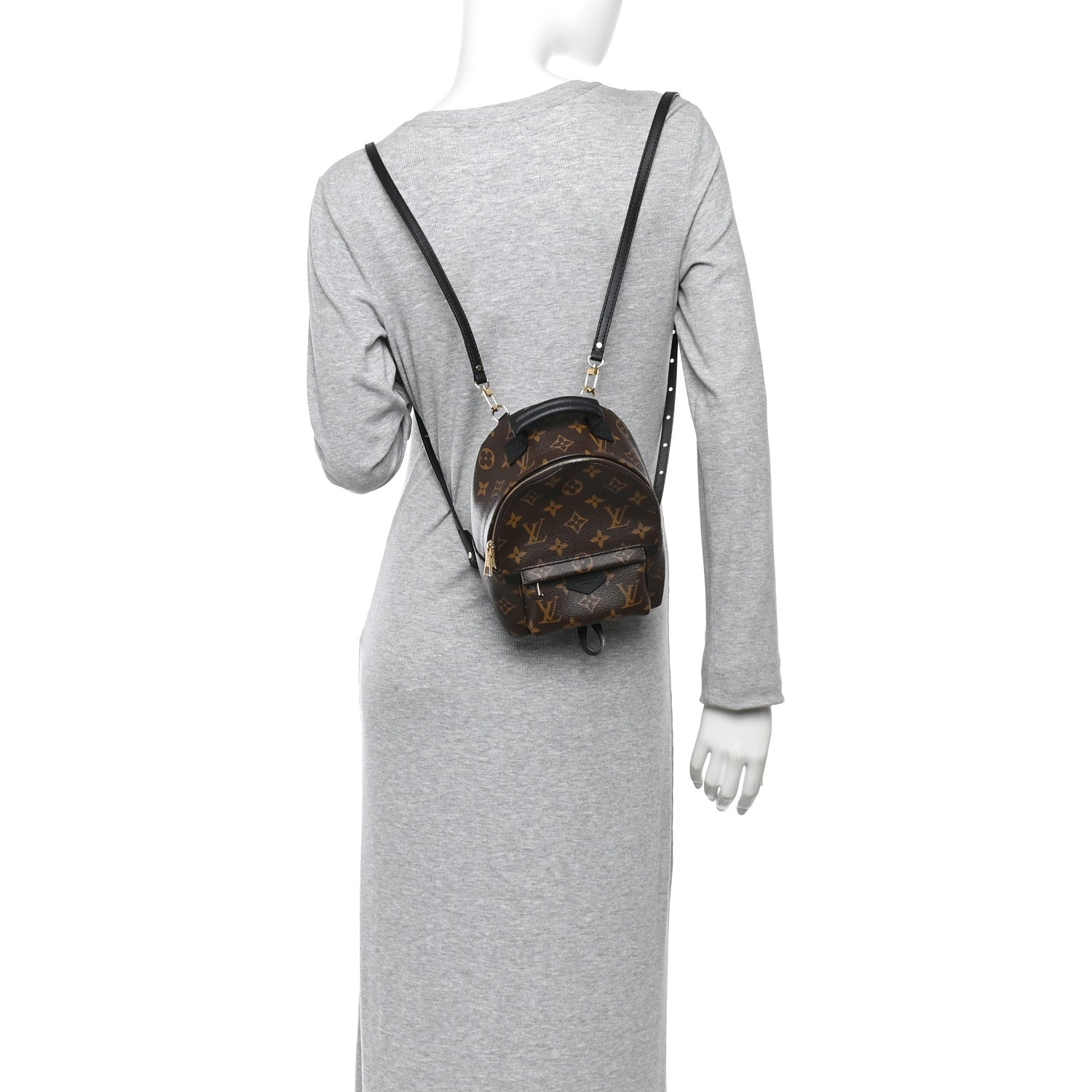Monogram Palm Springs Backpack Mini