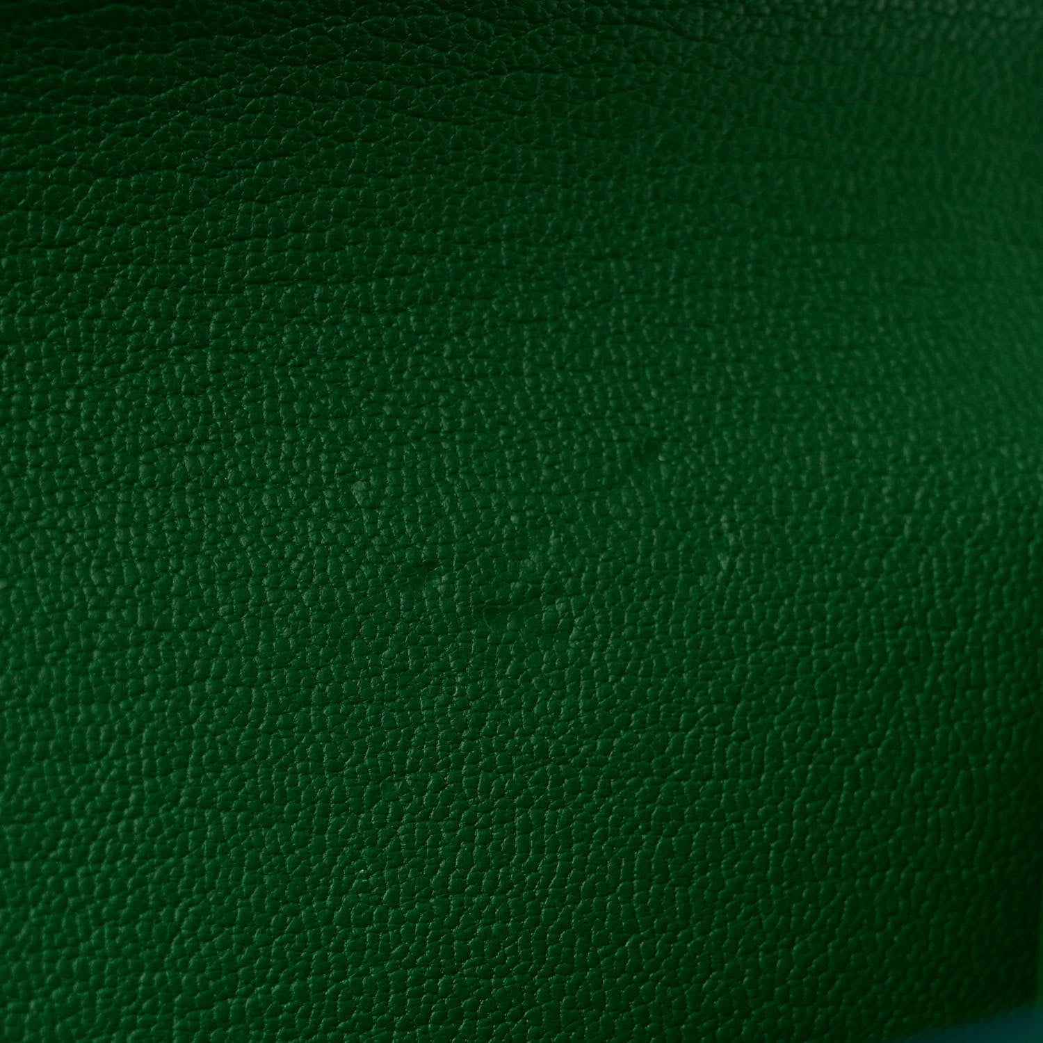 Alligator Chain Louise GM Emerald