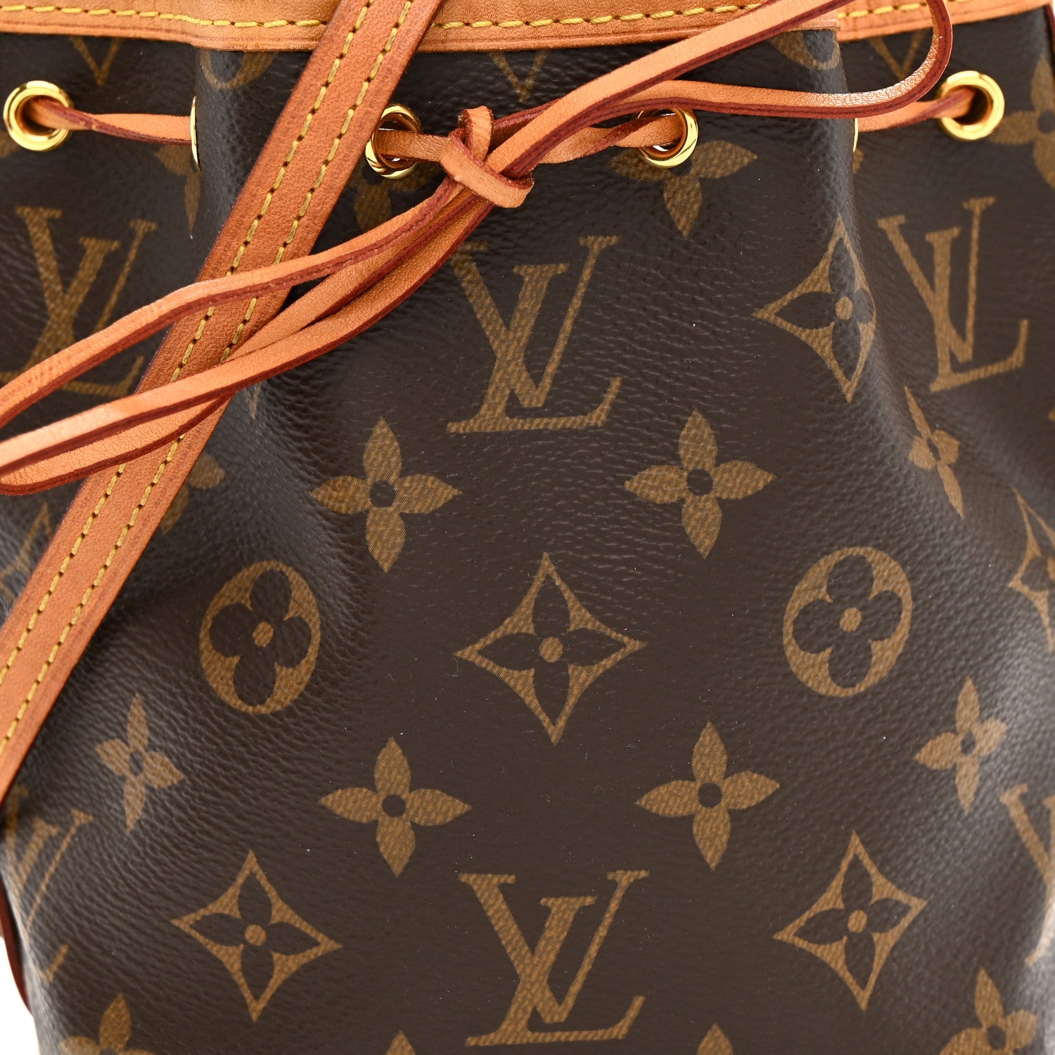 Monogram Nano Noe