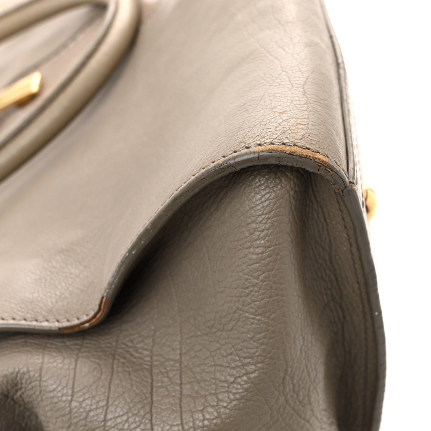 Calfskin Snakeskin Medium Cabas Chyc Beige