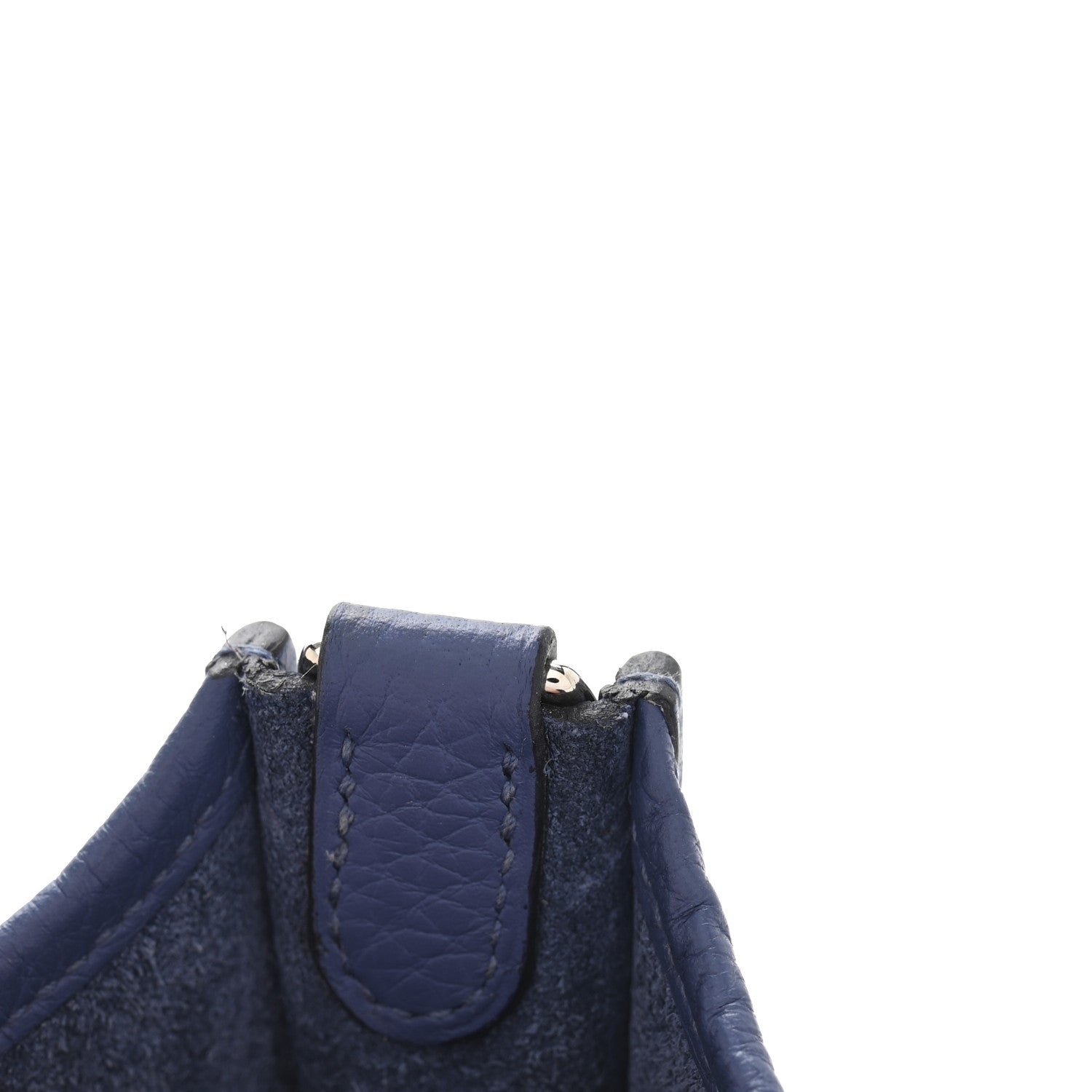 Taurillon Clemence Evelyne TPM Bleu Brighton