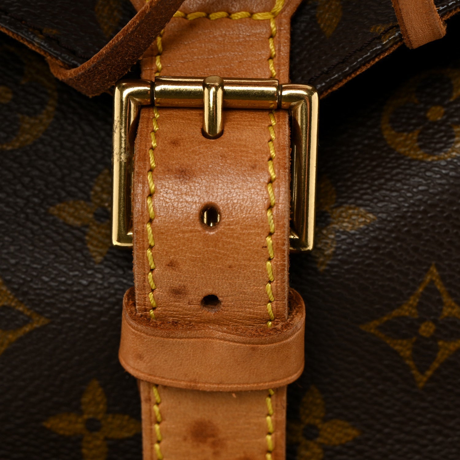 Monogram Montsouris GM Backpack