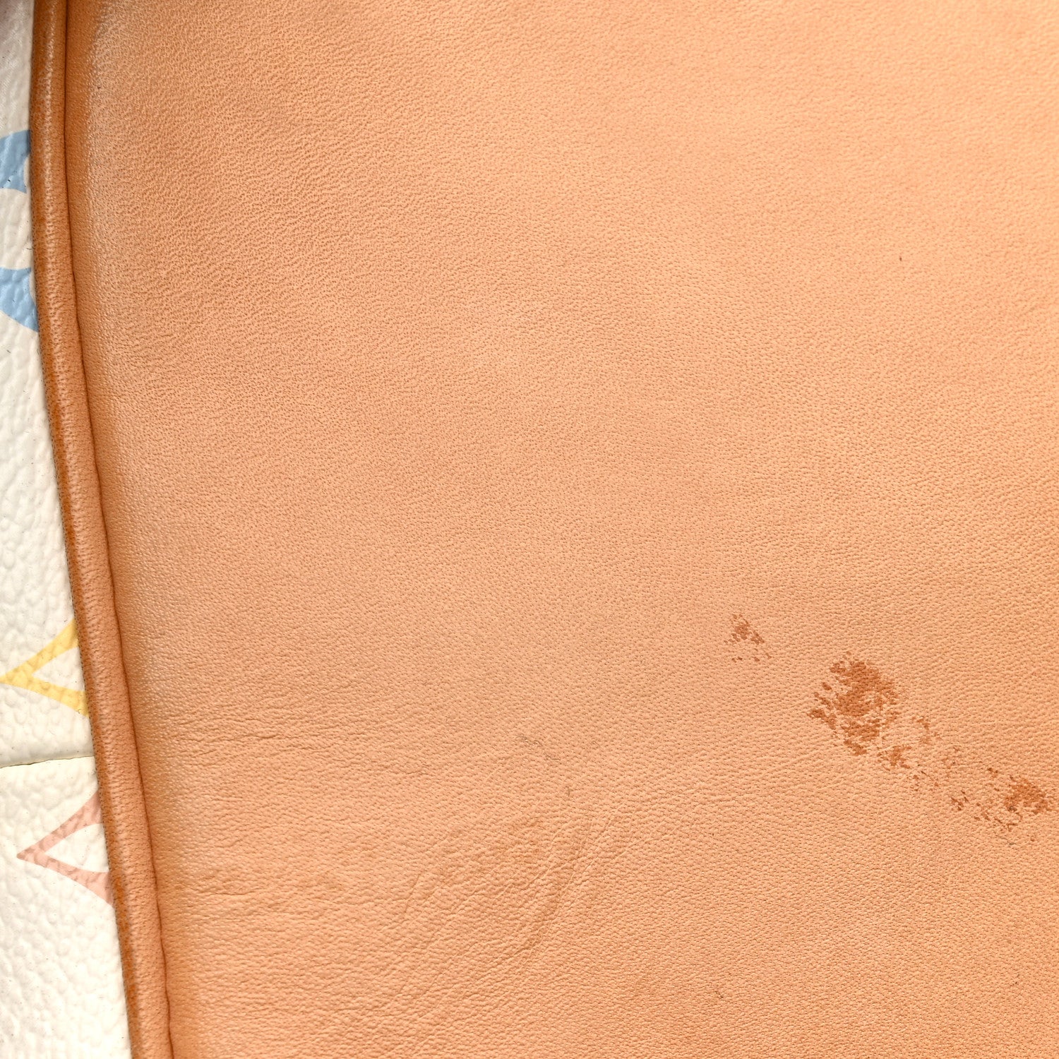 Monogram Multicolor Petit Noe White