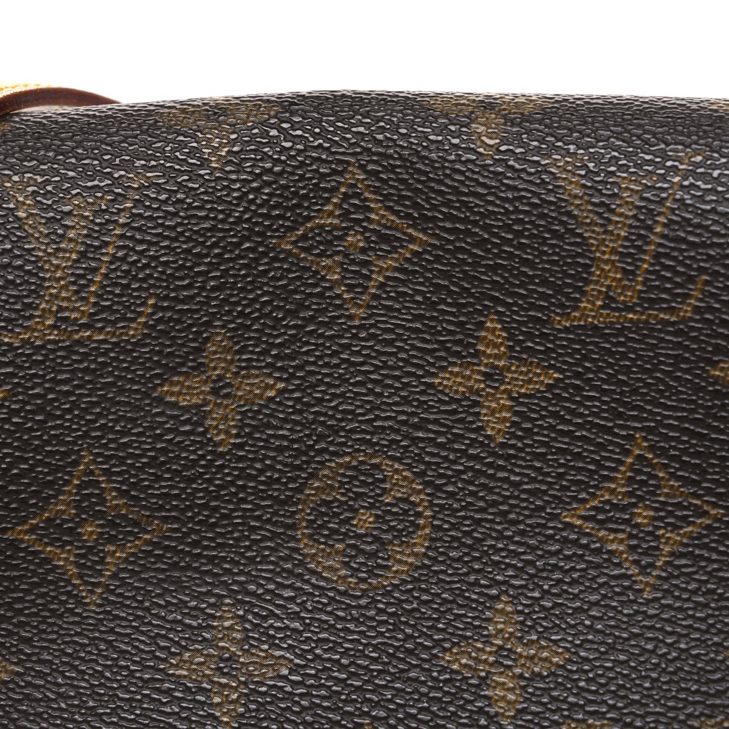 Monogram Musette Salsa