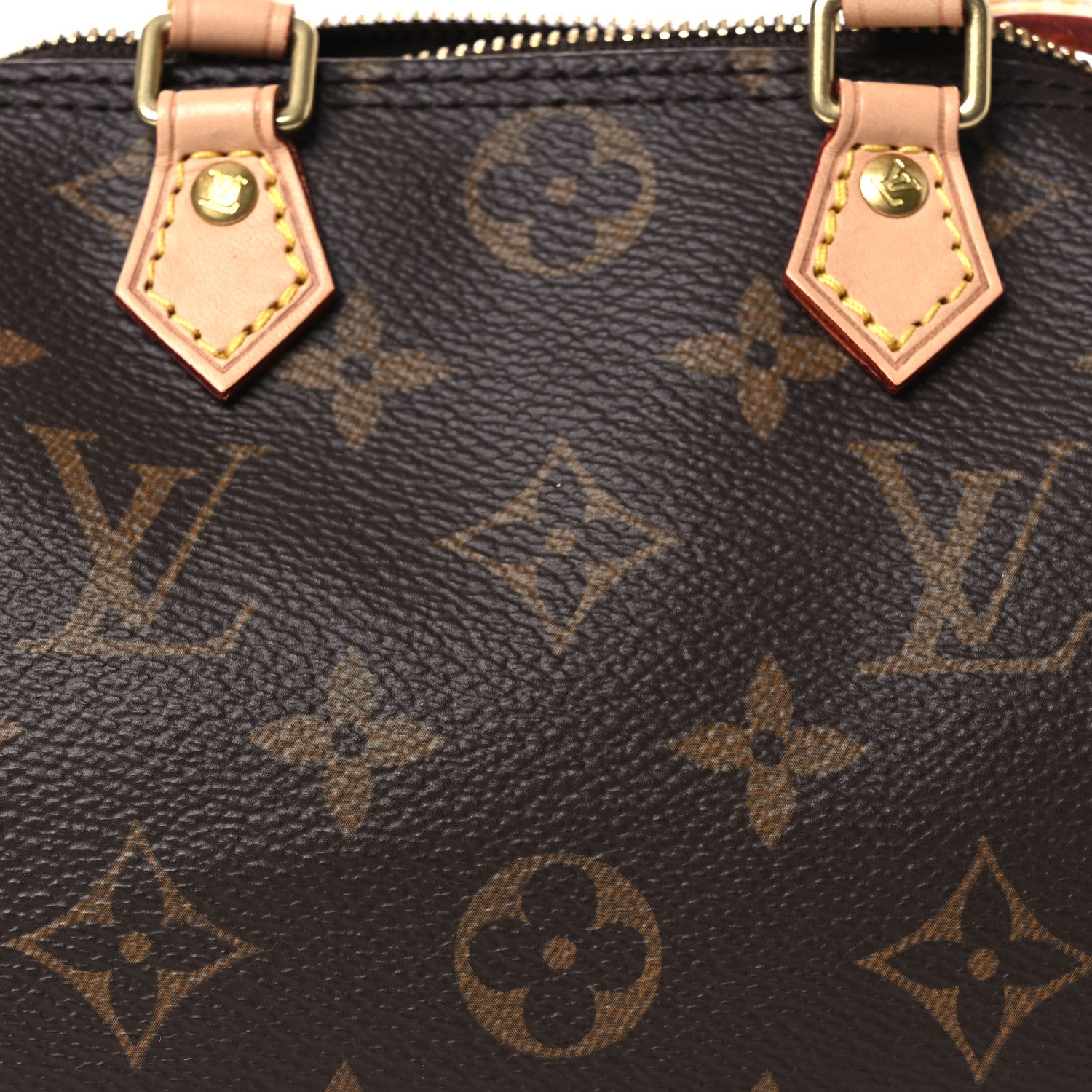 Monogram Nano Speedy