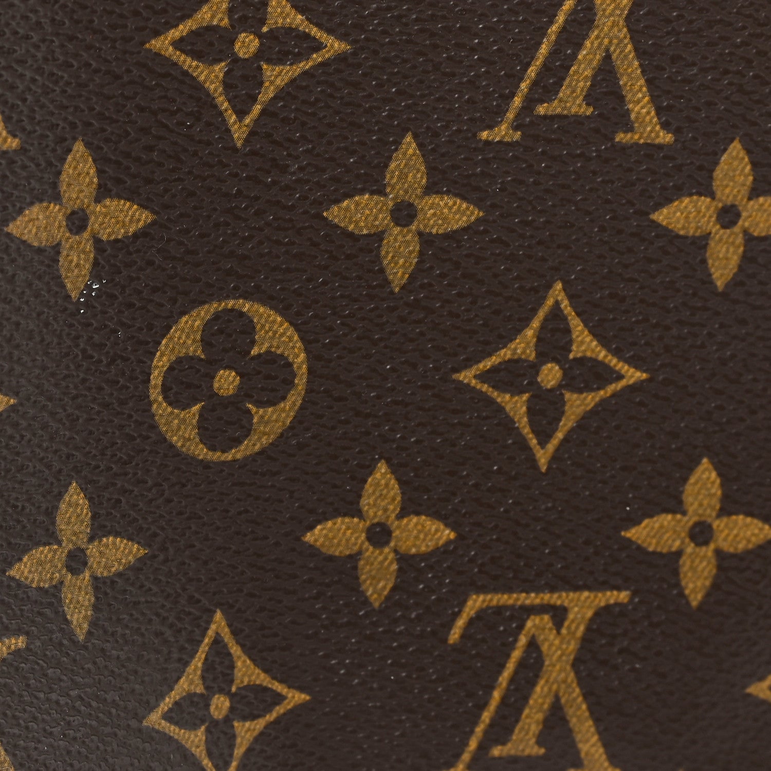 Monogram Toiletry Pouch 19
