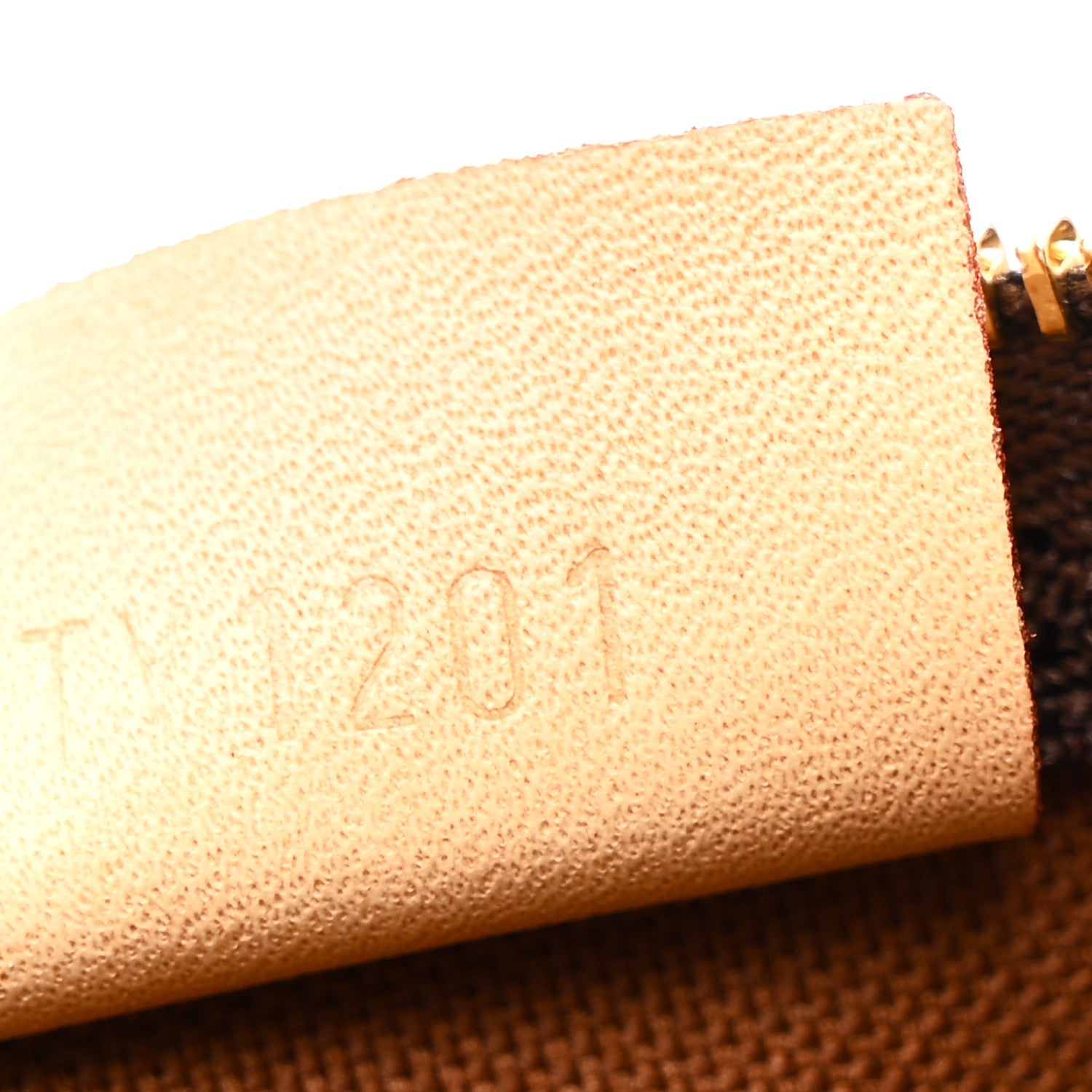 Monogram Nano Speedy