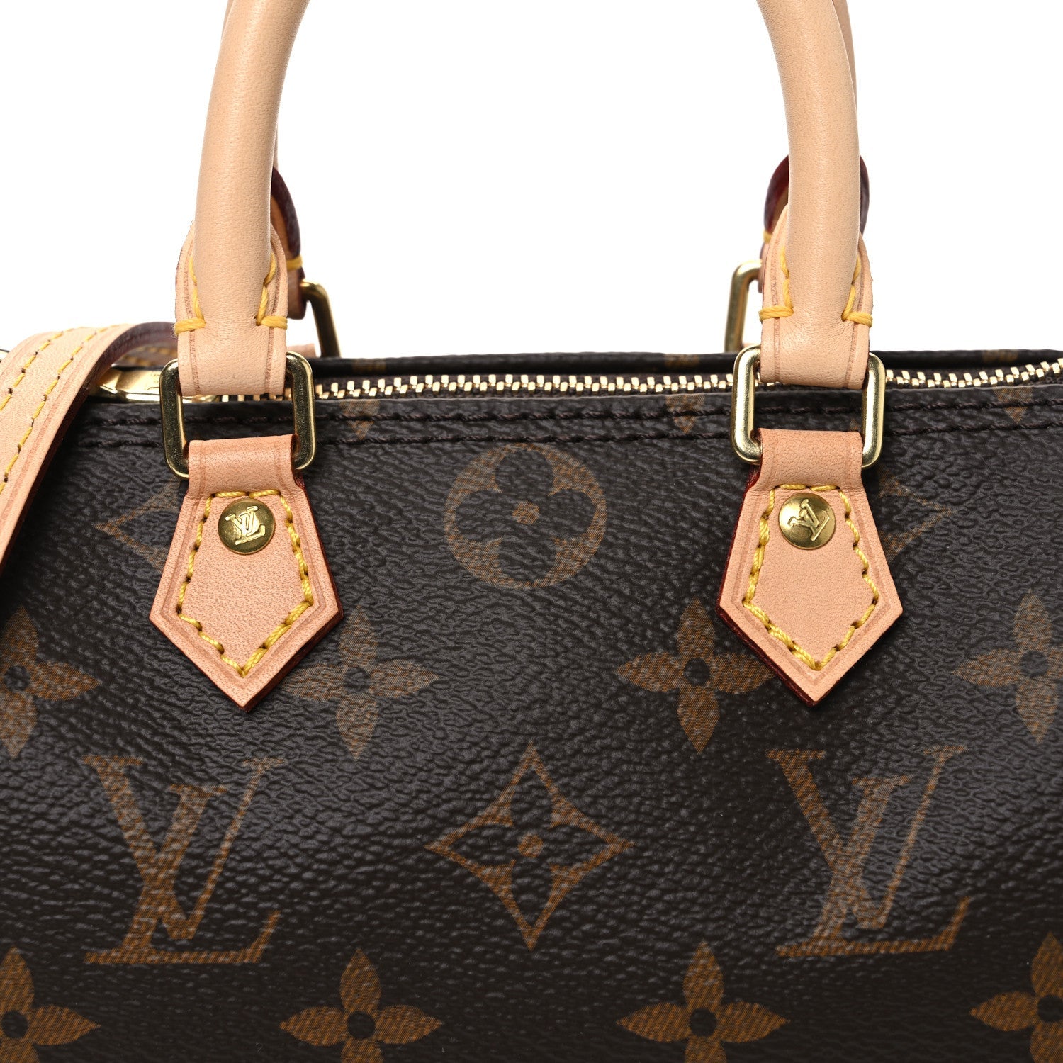 Monogram Nano Speedy