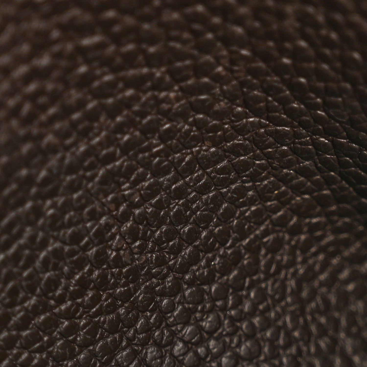 Empreinte Felicie Chain Wallet Zippered Insert Earth