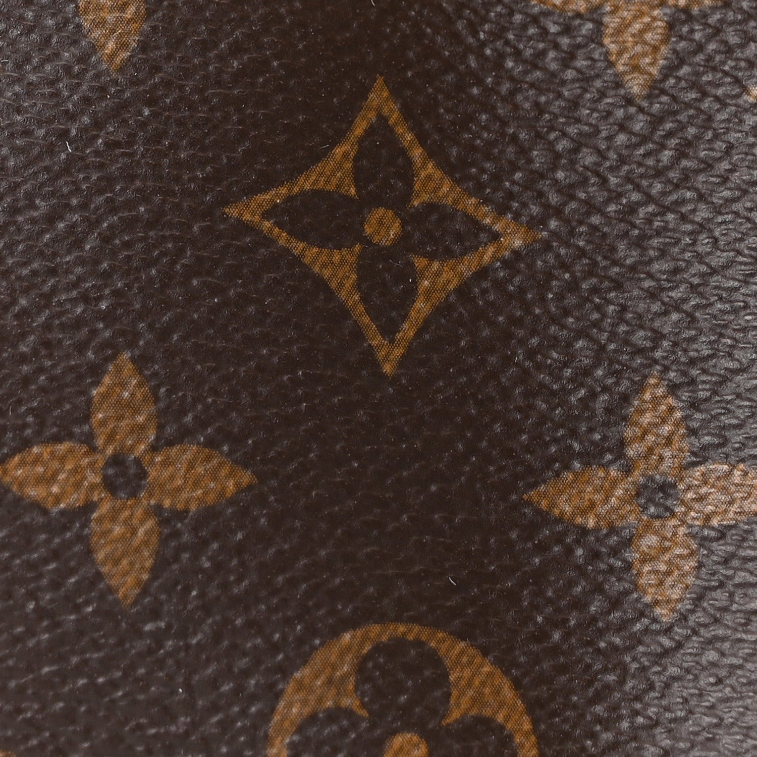 Monogram Nano Speedy