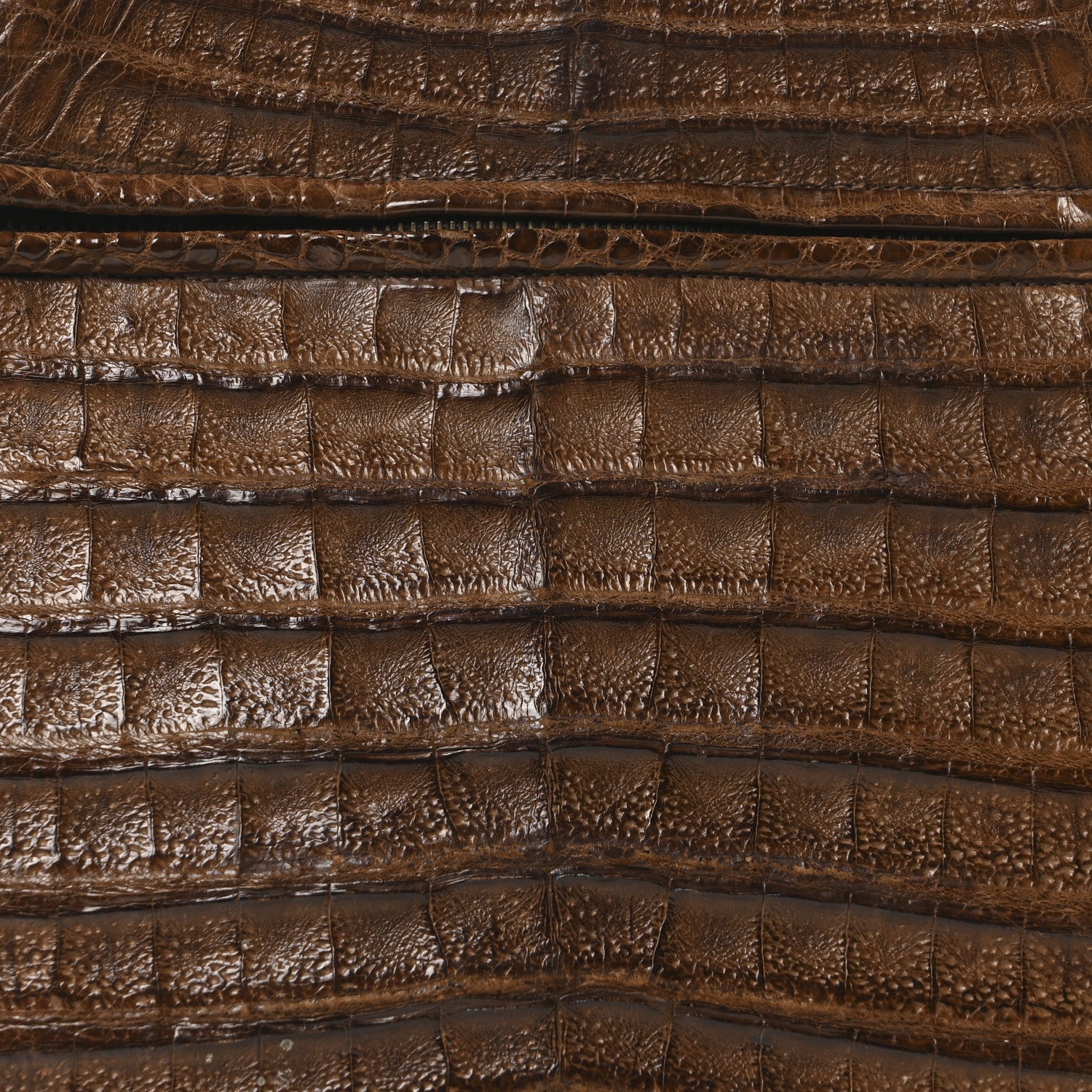 Alligator Shopping Tote Brown