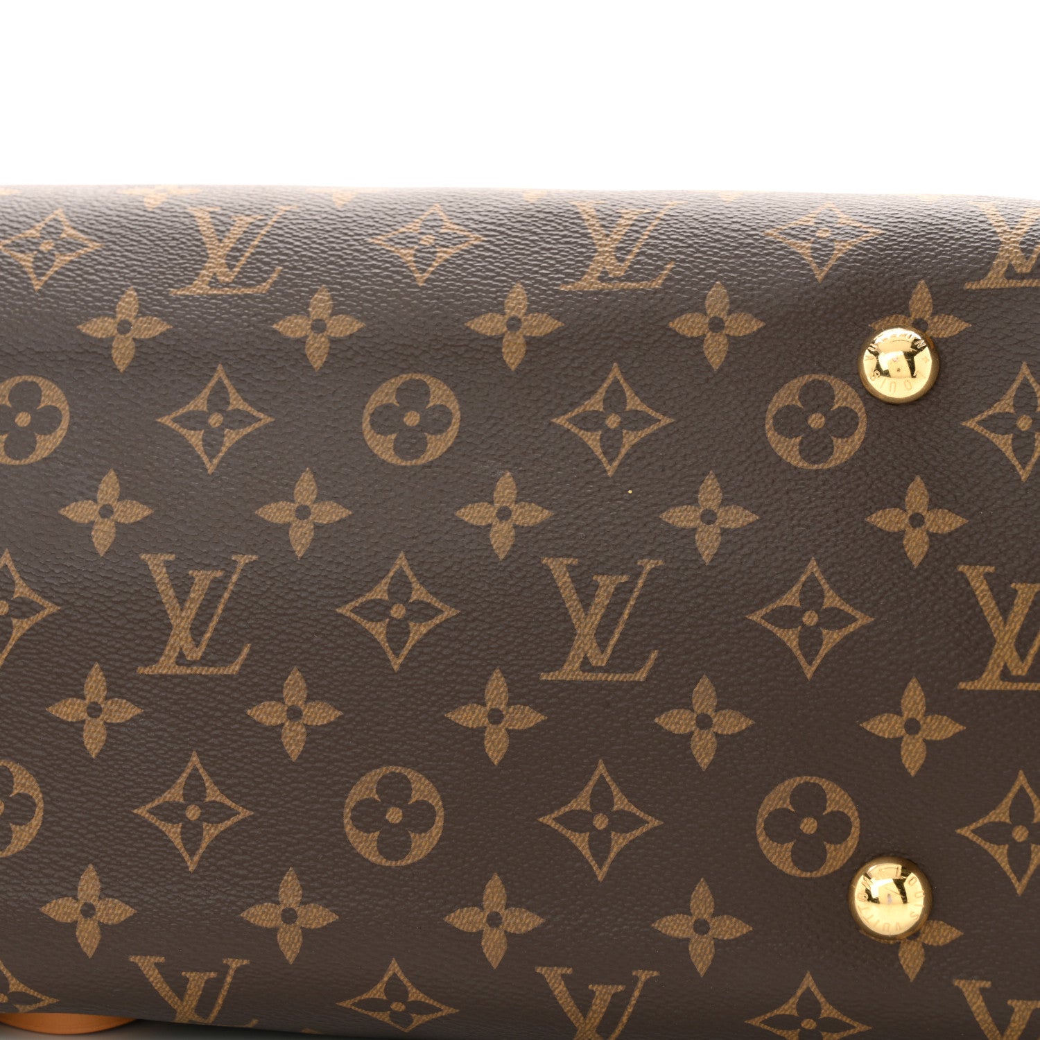 Monogram CarryAll MM