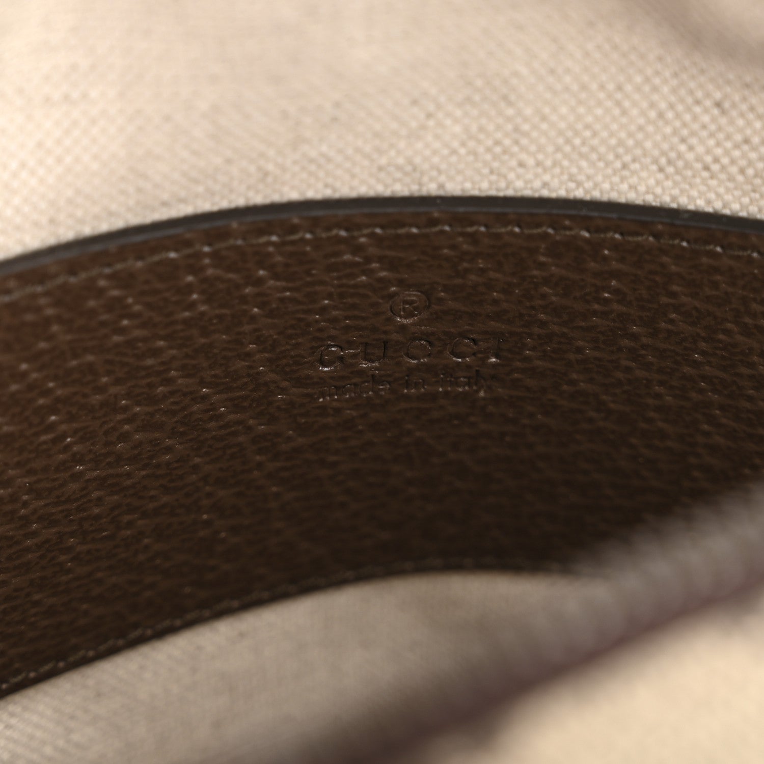 GG Supreme Monogram Web Mini Ophidia Messenger Brown