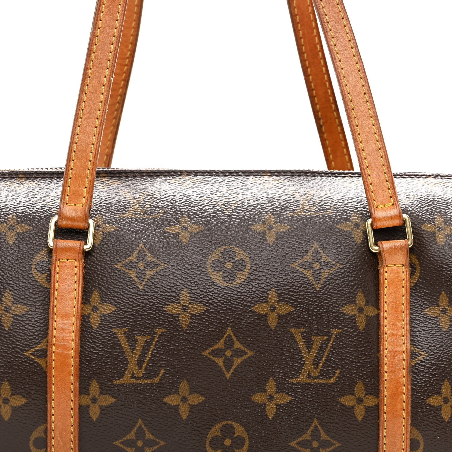 Monogram Papillon 30 with Companion