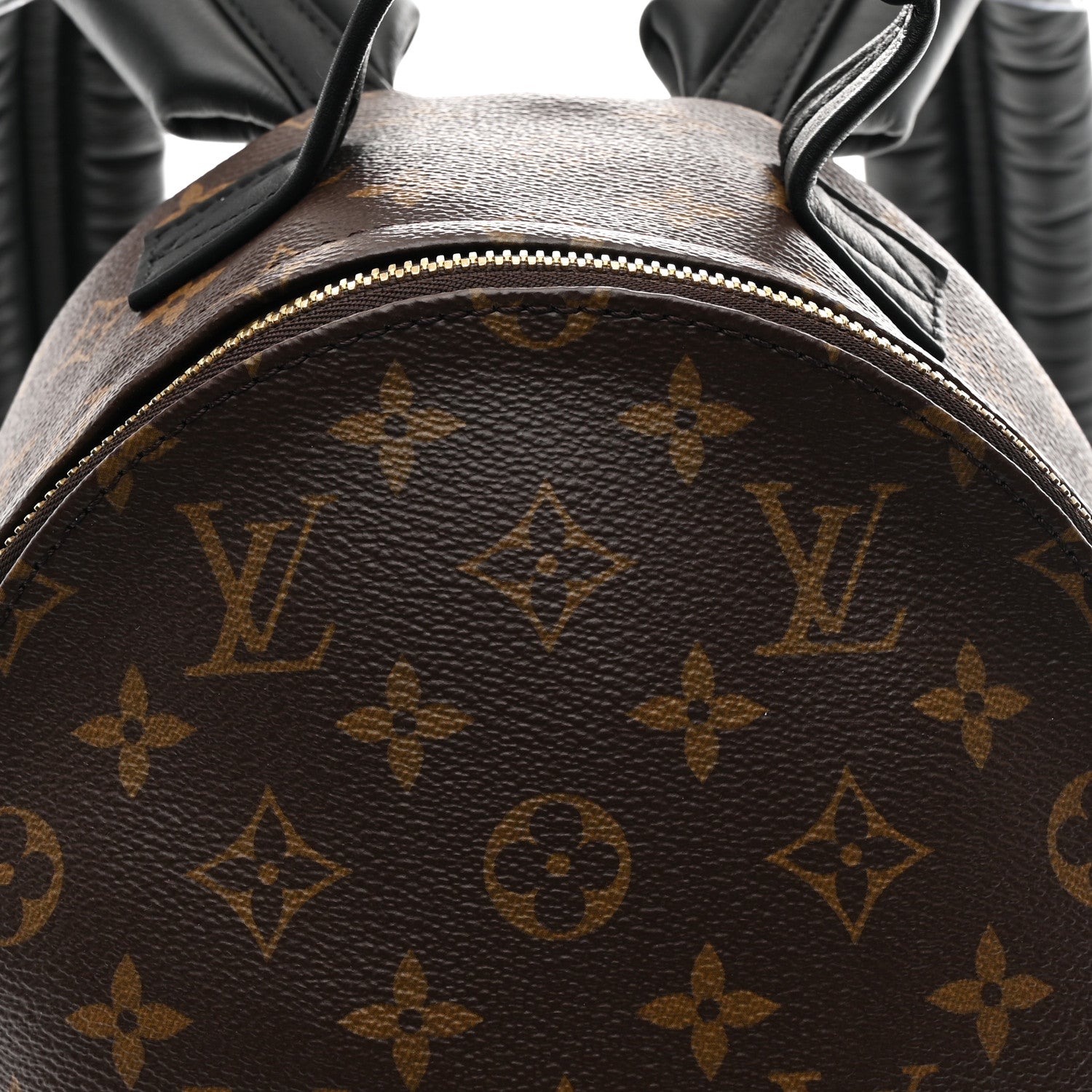 Monogram Palm Springs Backpack PM
