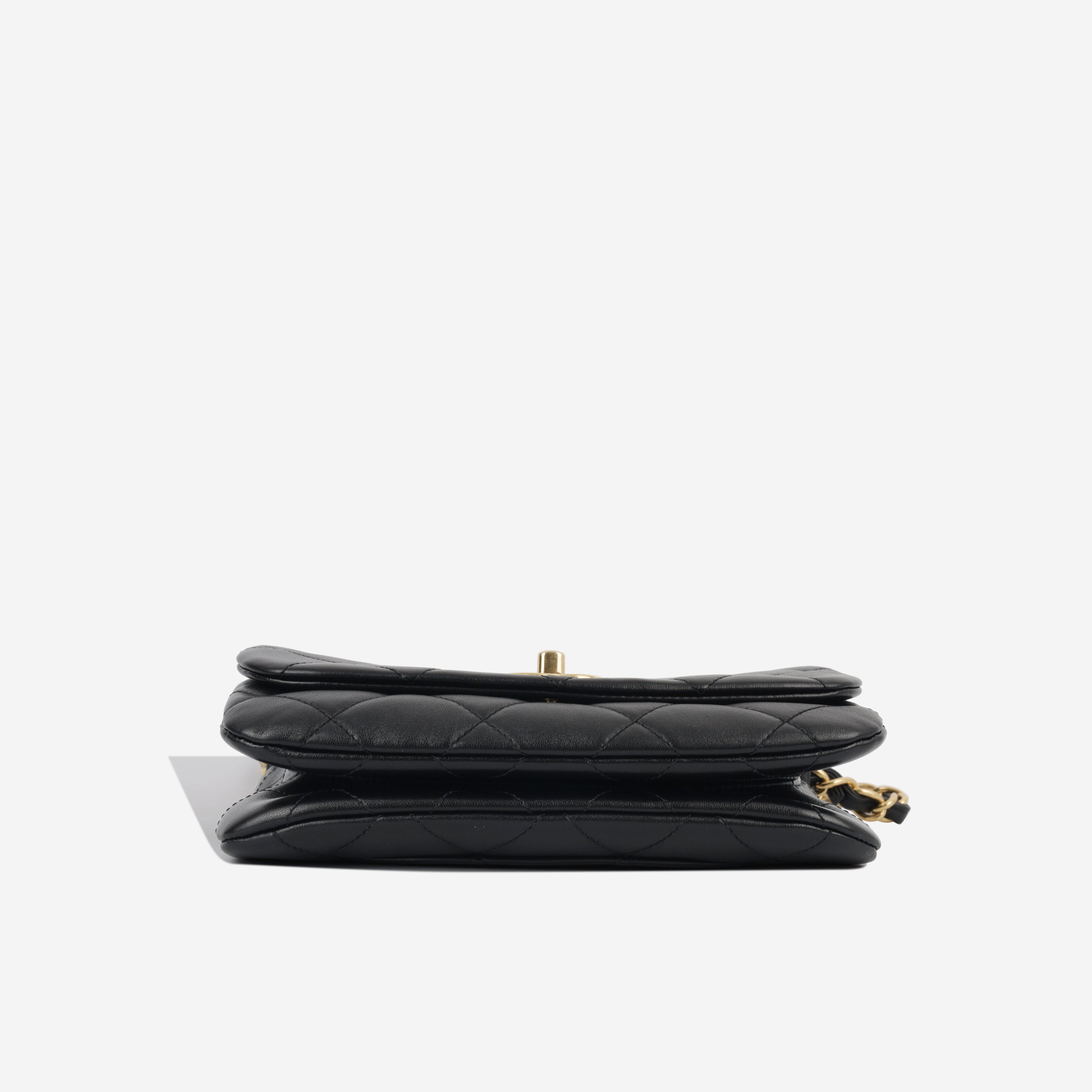 Seasonal Rainbow Chain Flap - Black Goatskin GHW