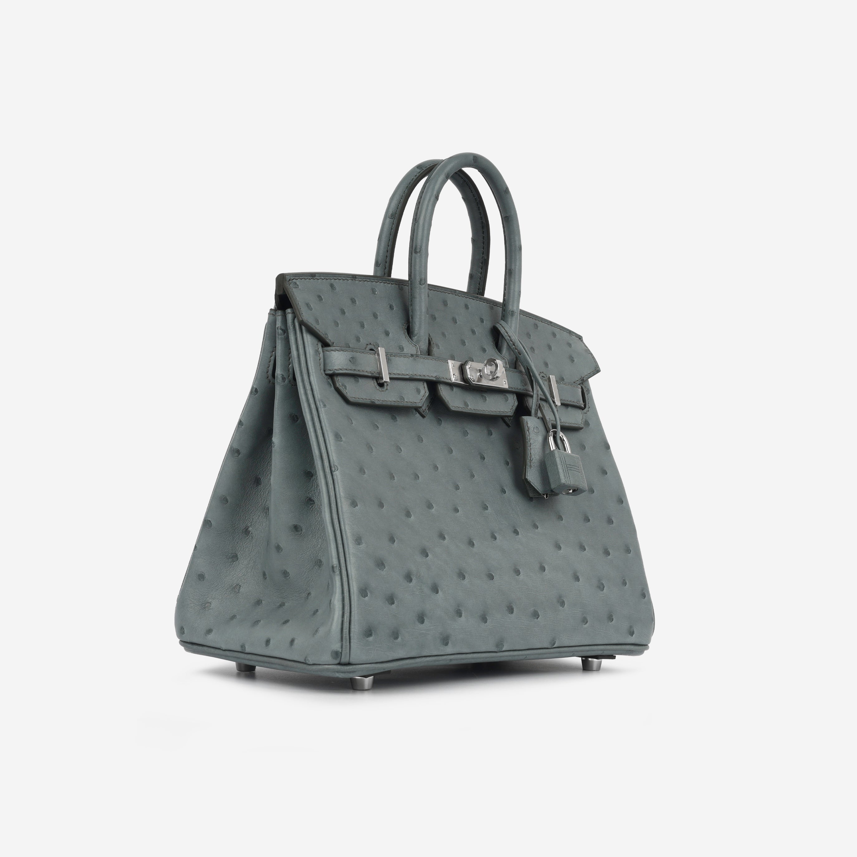 Birkin 25 - Vert Amande Ostrich