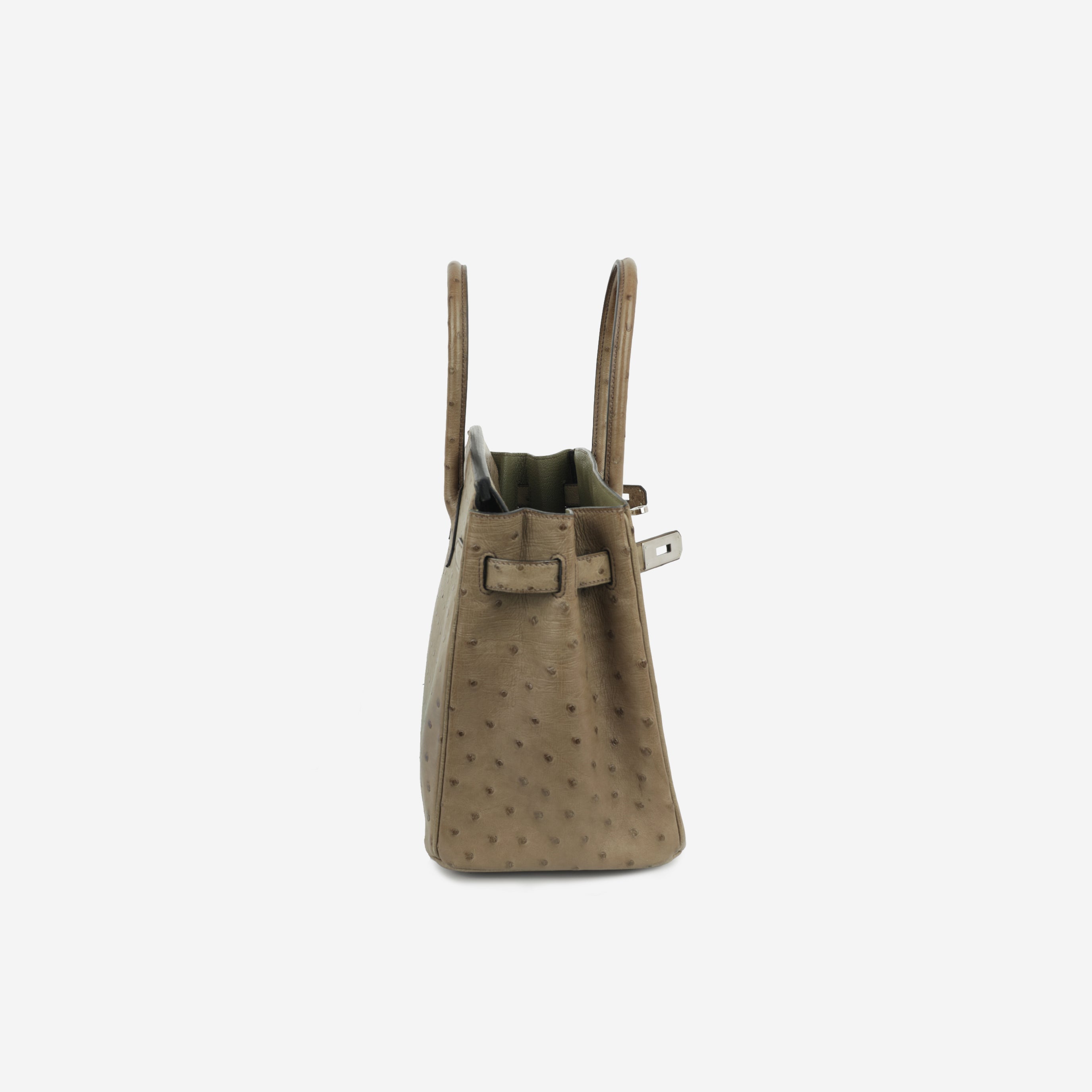 Hermès Birkin 30 - Mousse Ostrich | Palladium Hardware