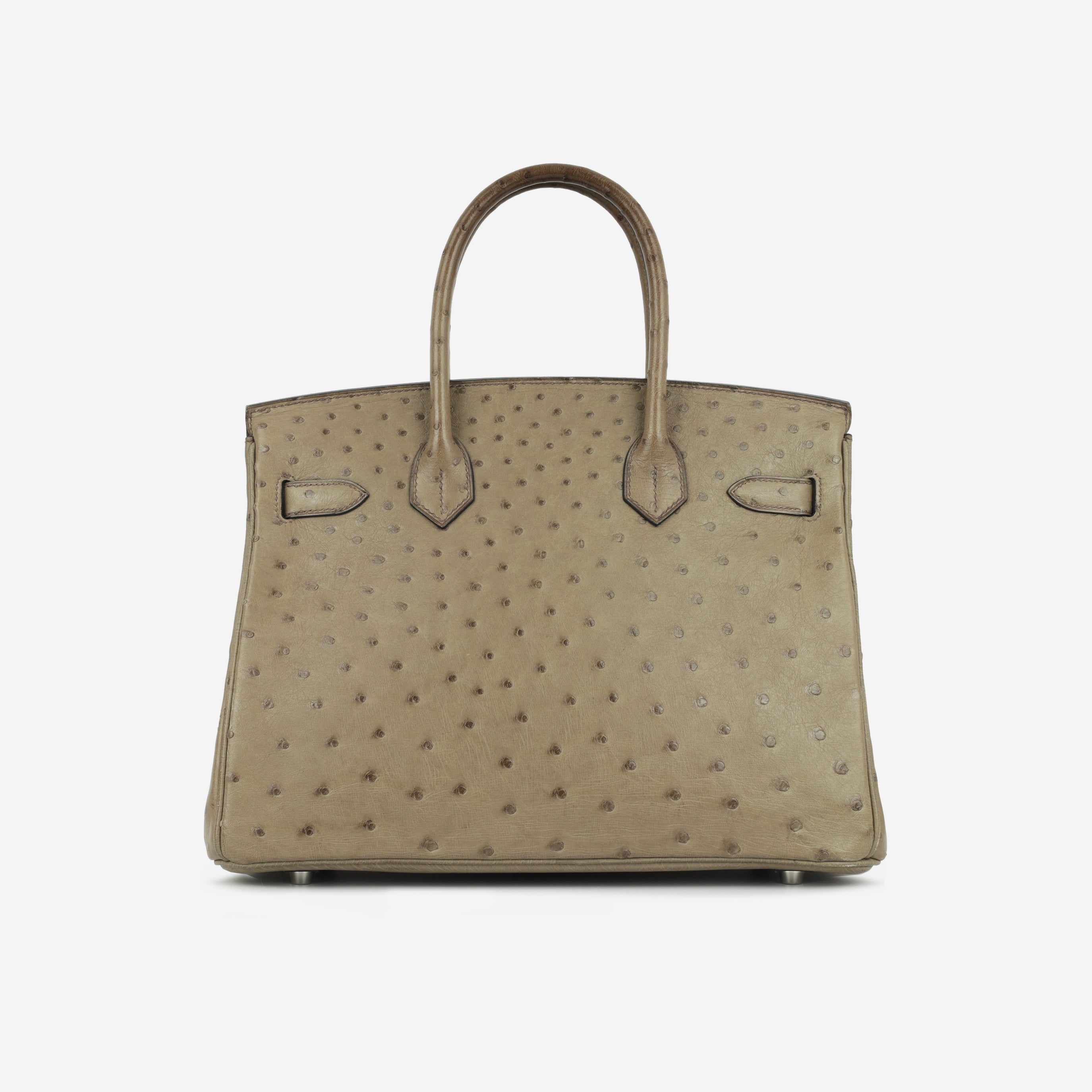Hermès Birkin 30 - Mousse Ostrich | Palladium Hardware