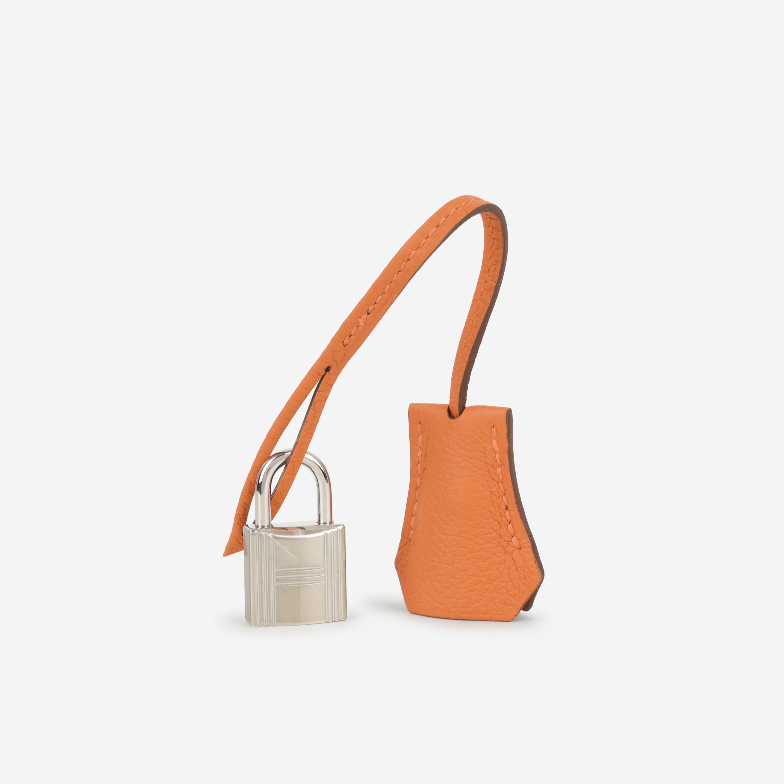 Hermès Birkin 25 - Orange Togo | Palladium Hardware