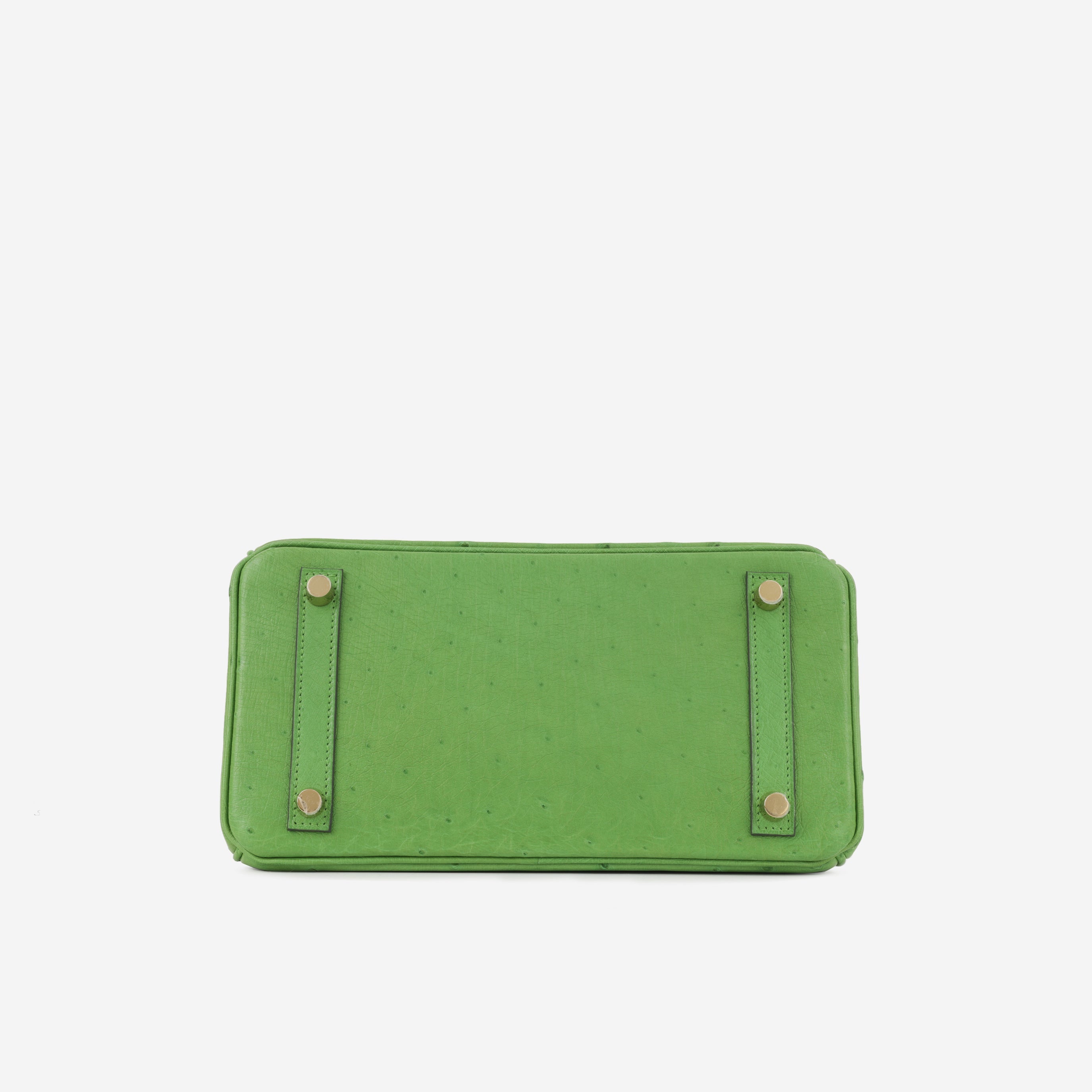 Hermès Birkin 25 - Vert Yucca Ostrich | Gold Hardware