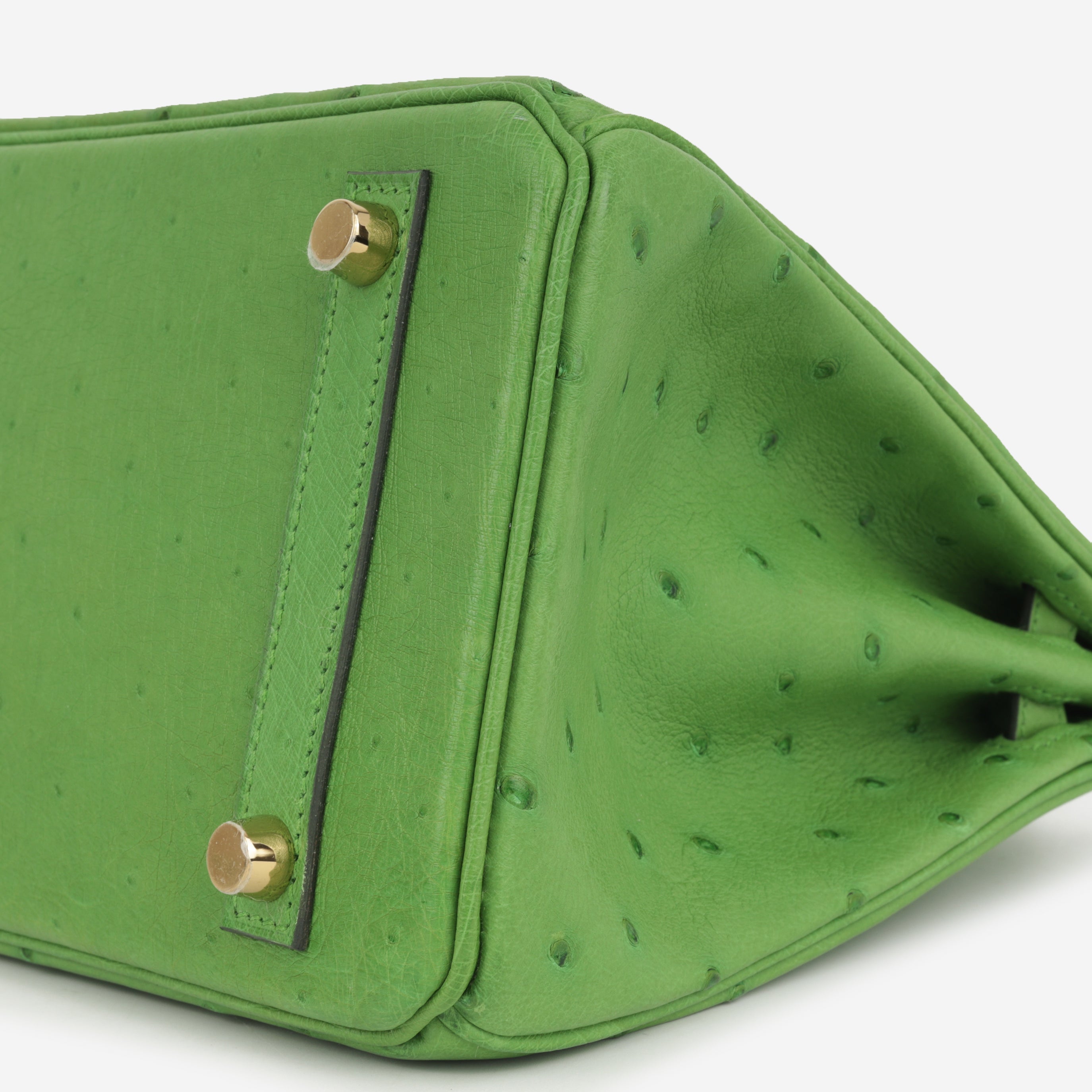 Hermès Birkin 25 - Vert Yucca Ostrich | Gold Hardware