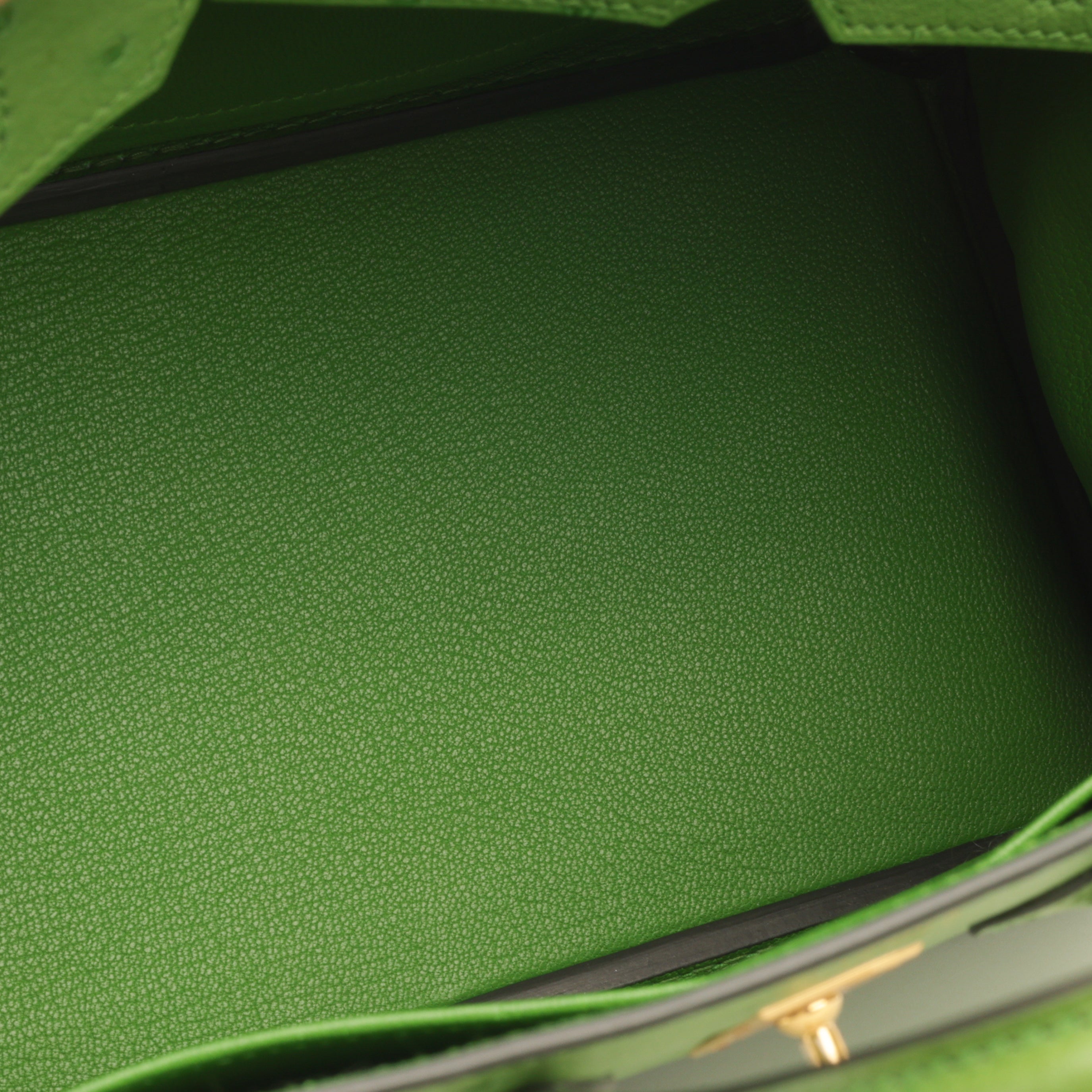 Hermès Birkin 25 - Vert Yucca Ostrich | Gold Hardware