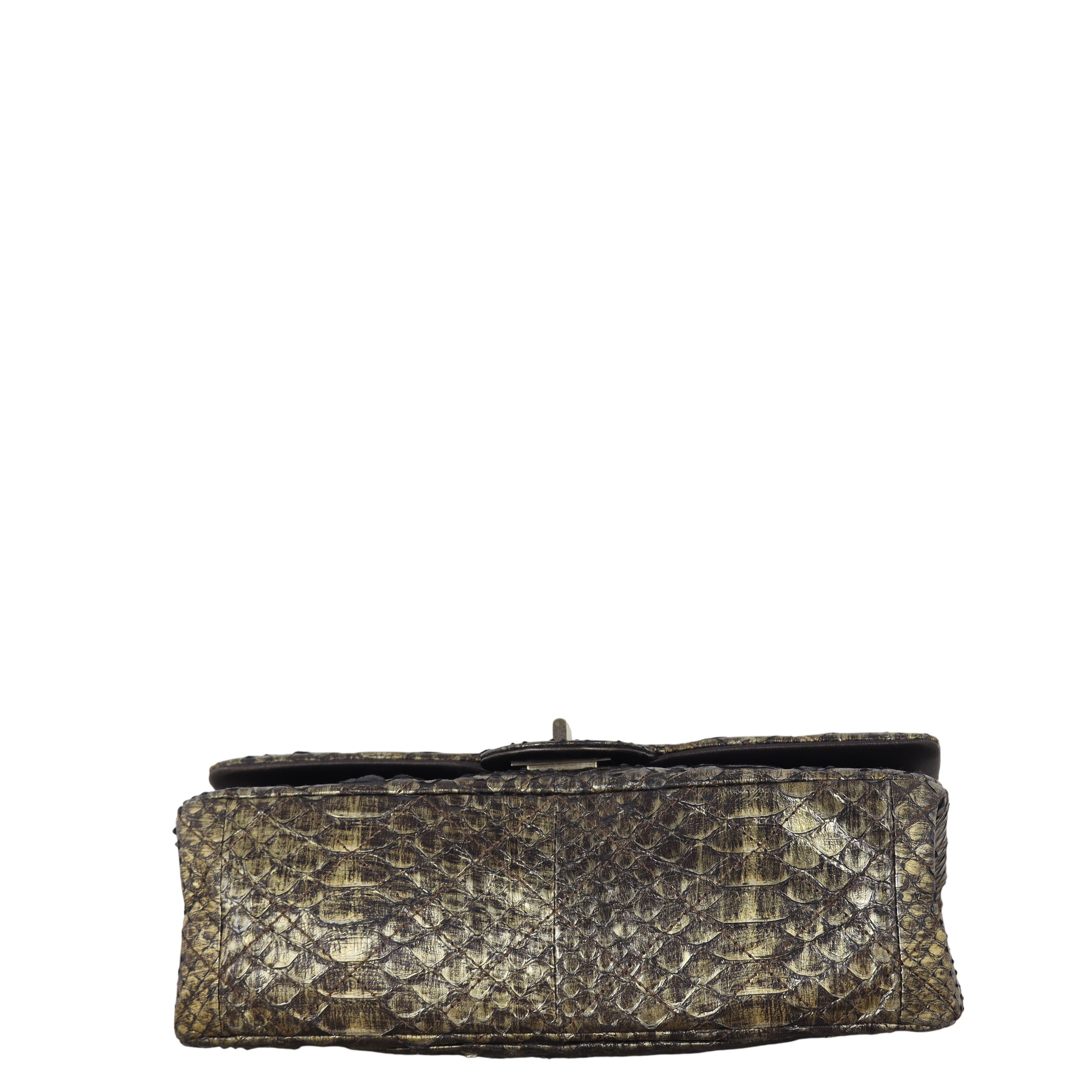 Chanel 2.55 Reissue 225 Double Flap Bag Python