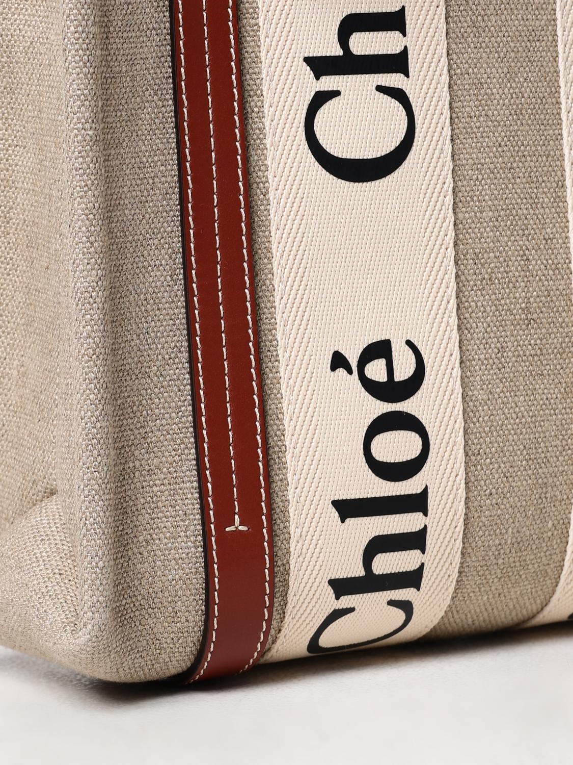 woman's handbag chloé