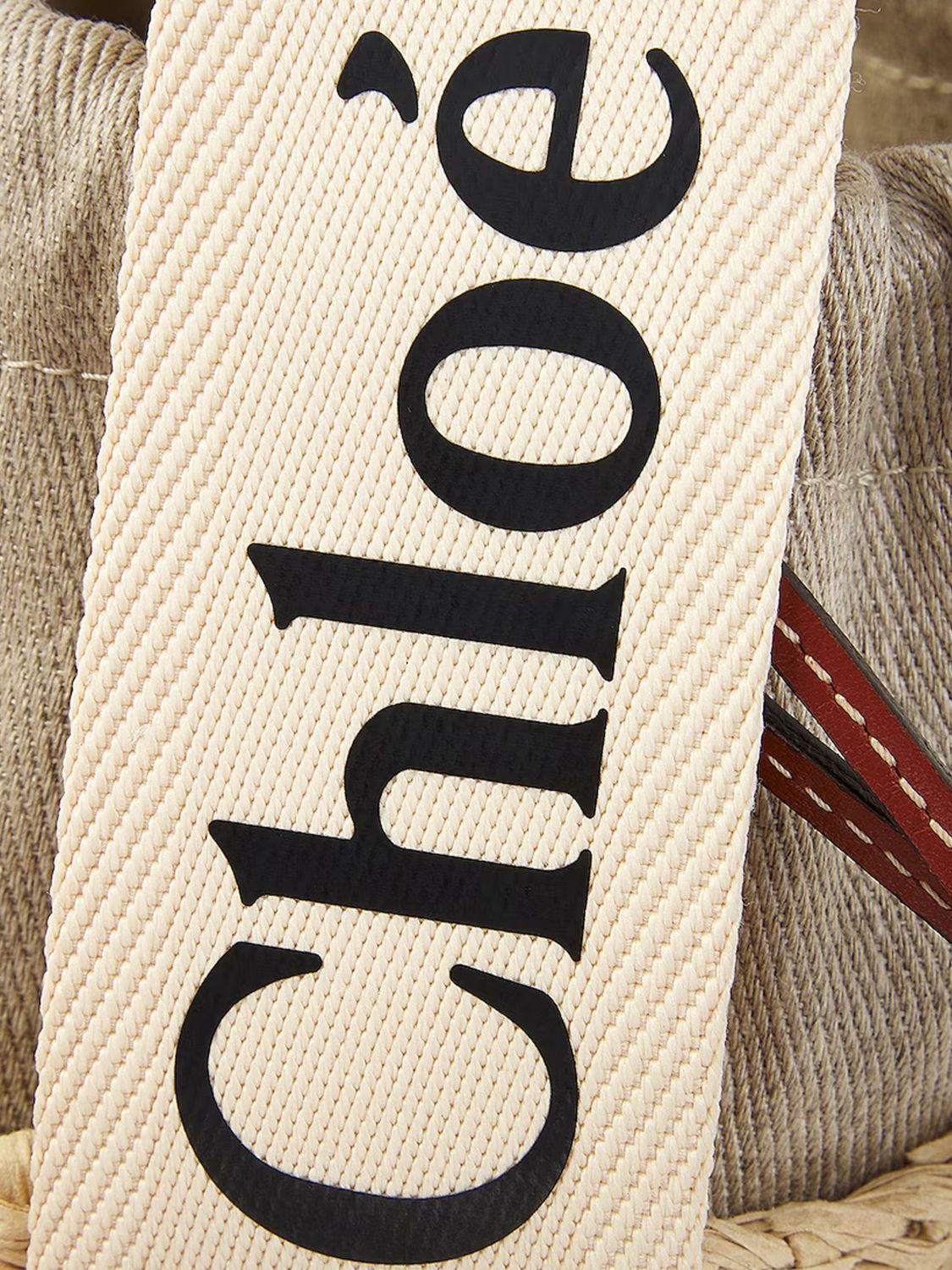 woman's mini bag chloé