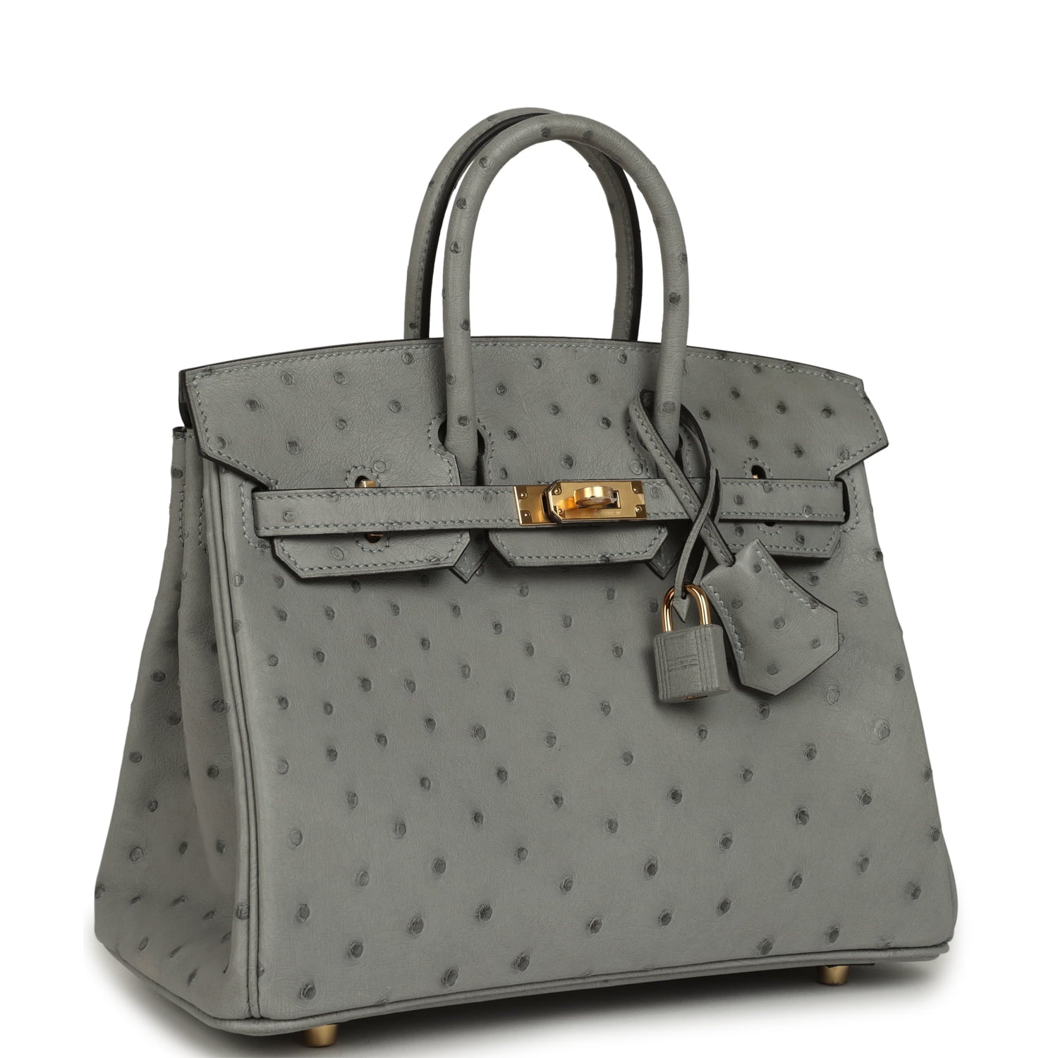 Hermes Birkin 25 Bleu Glacier Ostrich Gold Hardware