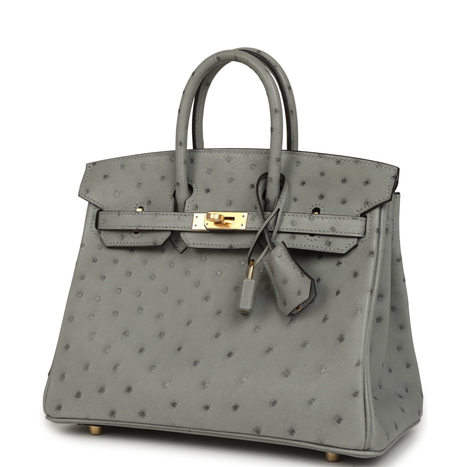 Hermes Birkin 25 Bleu Glacier Ostrich Gold Hardware