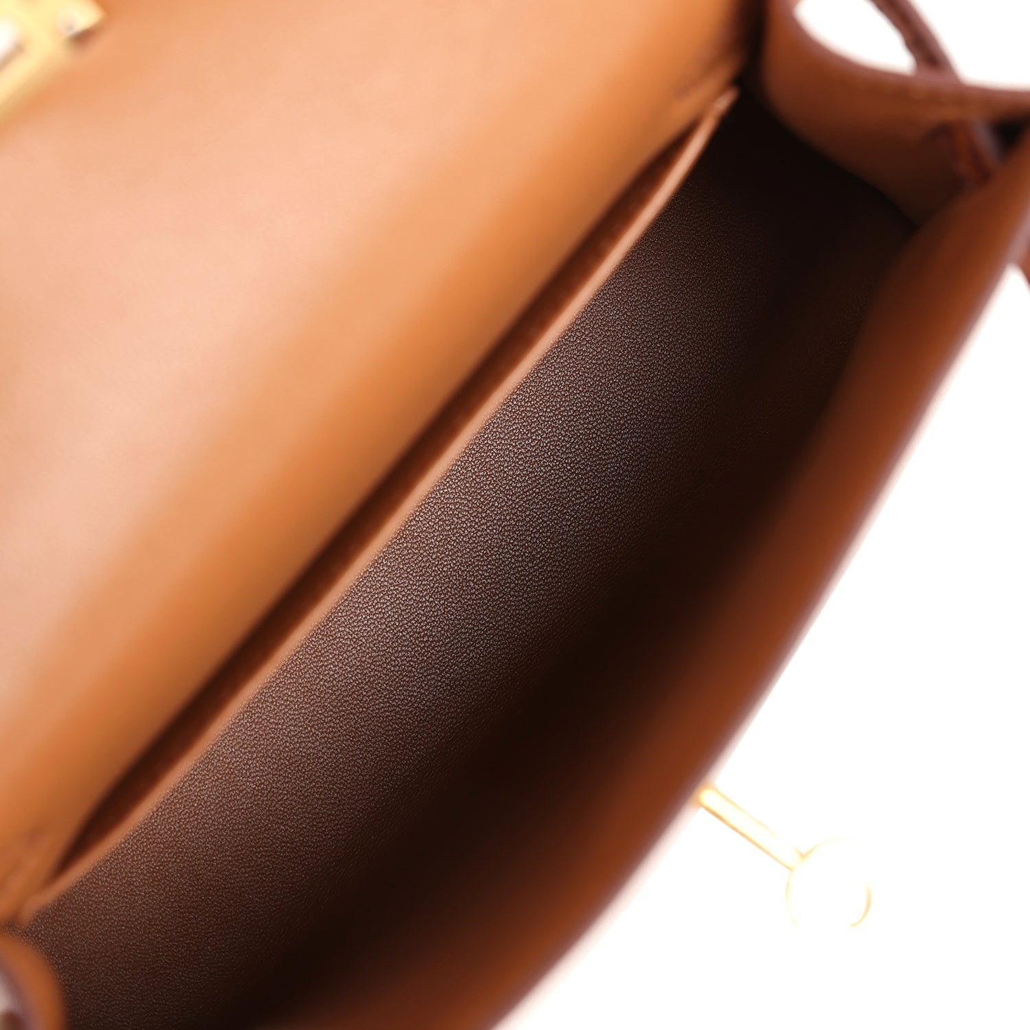Hermes Kelly Sellier 20 Gold Madame & Miel Shiny Alligator Touch Gold Hardware
