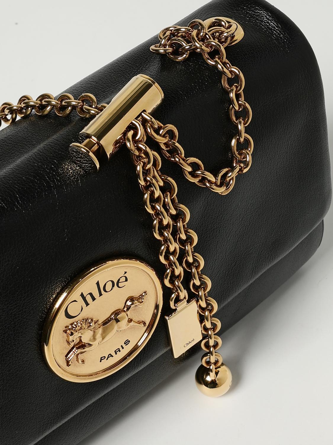 woman's shoulder bag chloé