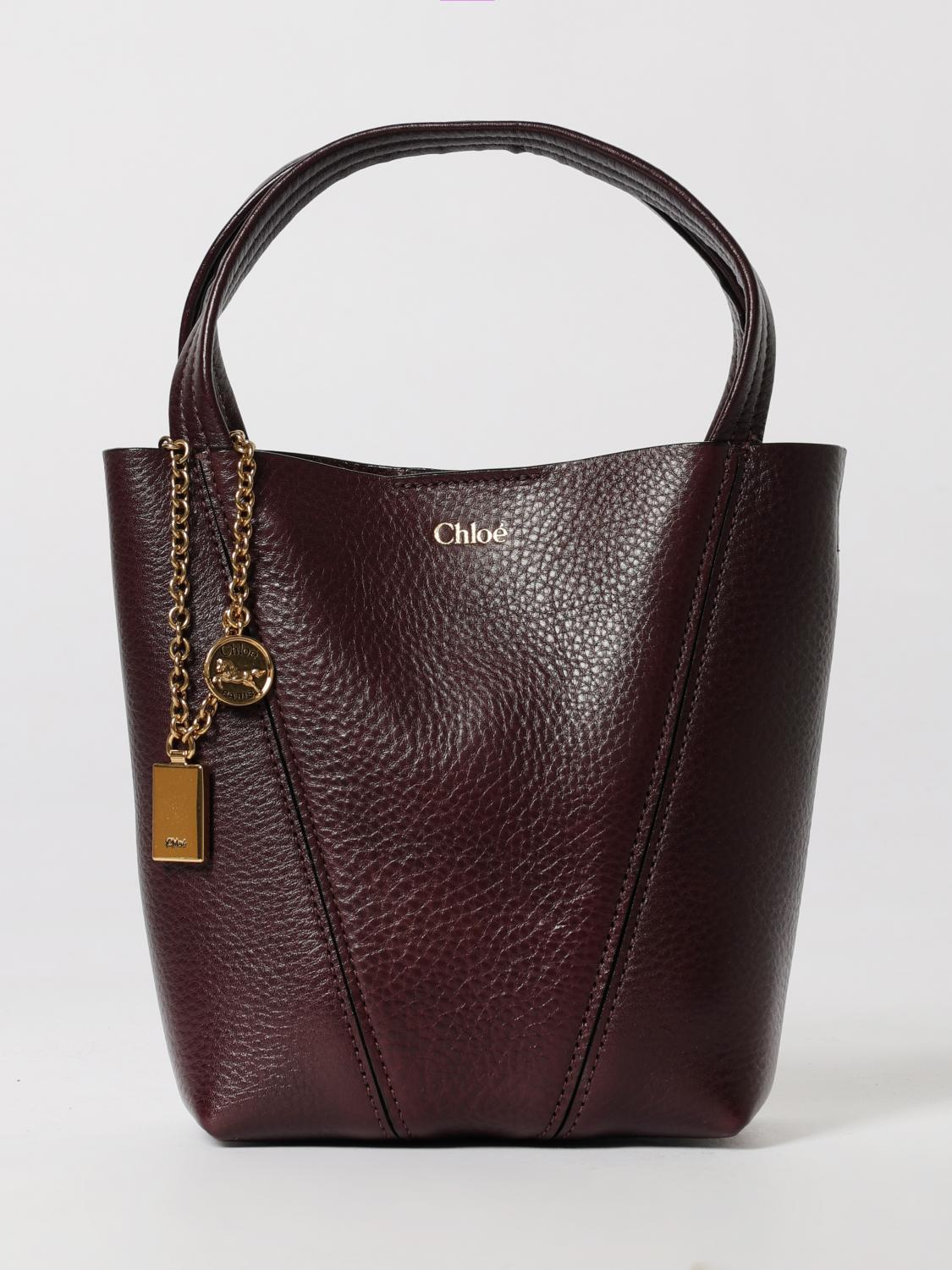 woman's mini bag chloé
