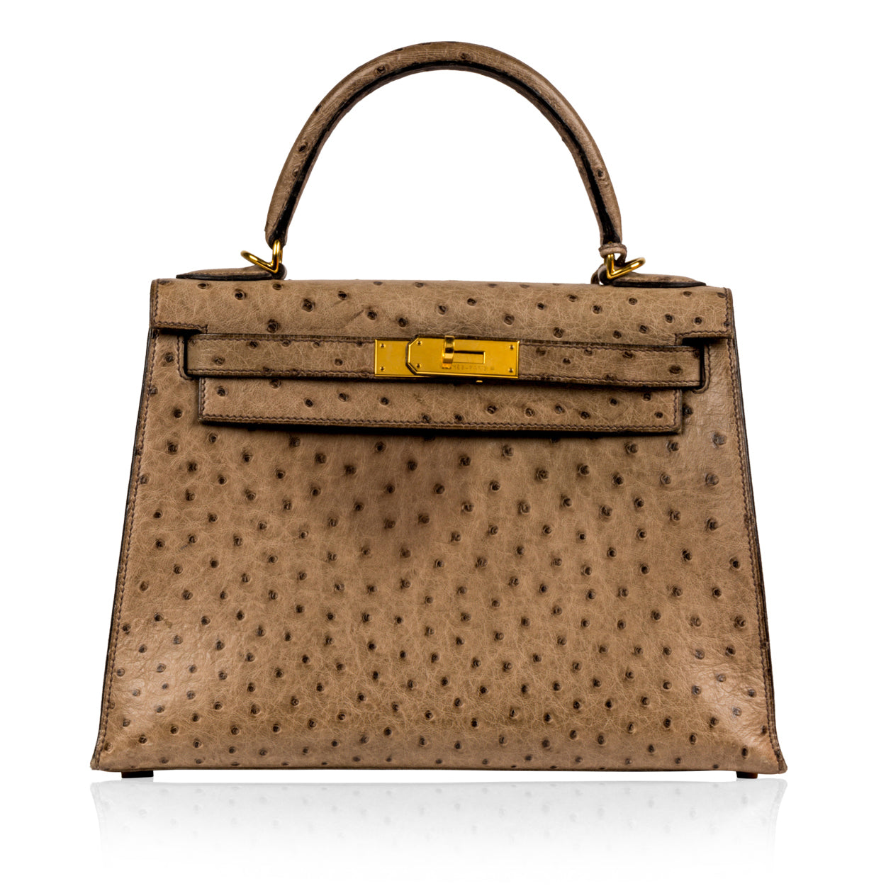 Kelly 28 - Grey Ostrich