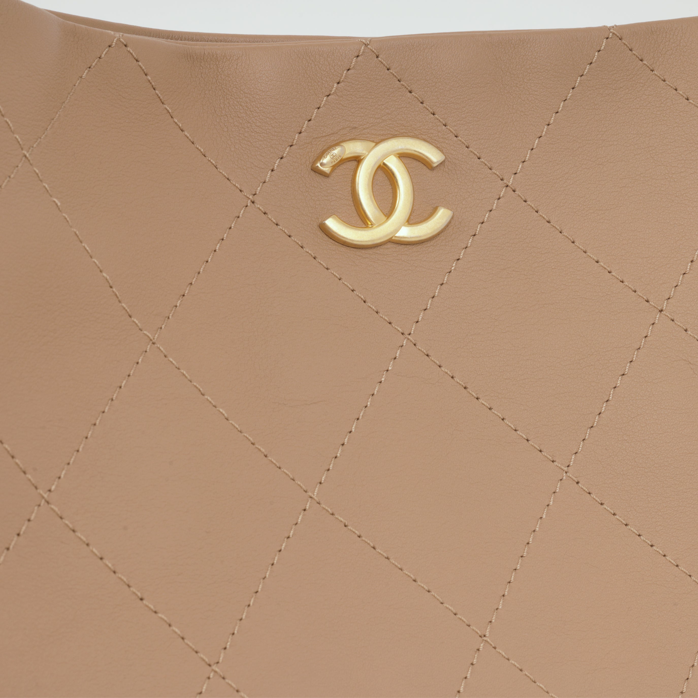 Hobo Shoulder Bag