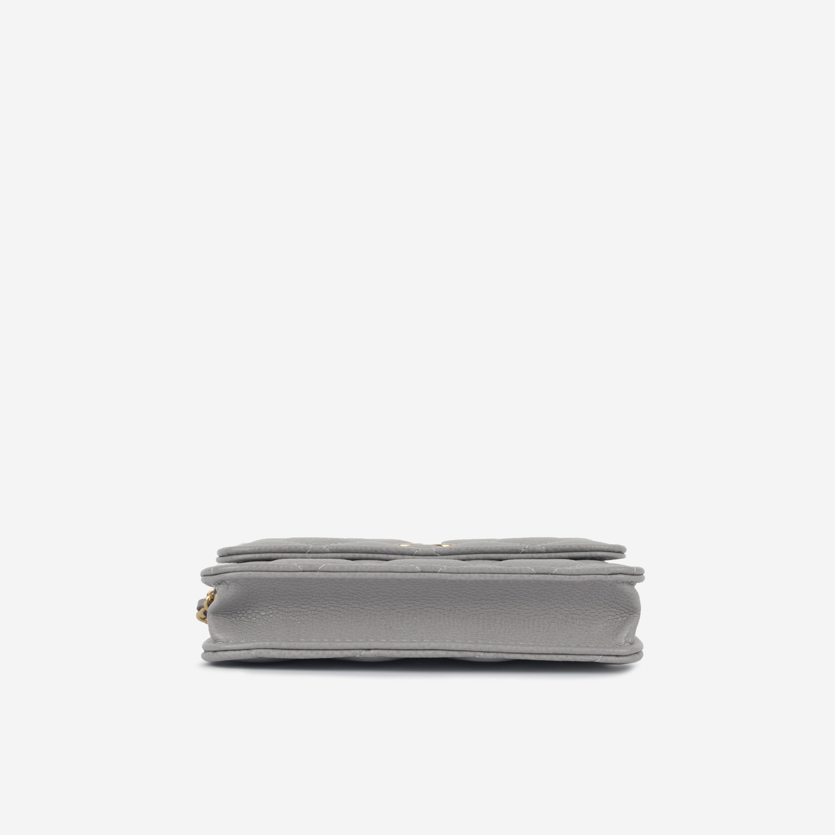 Mini Clutch on Coco Chain