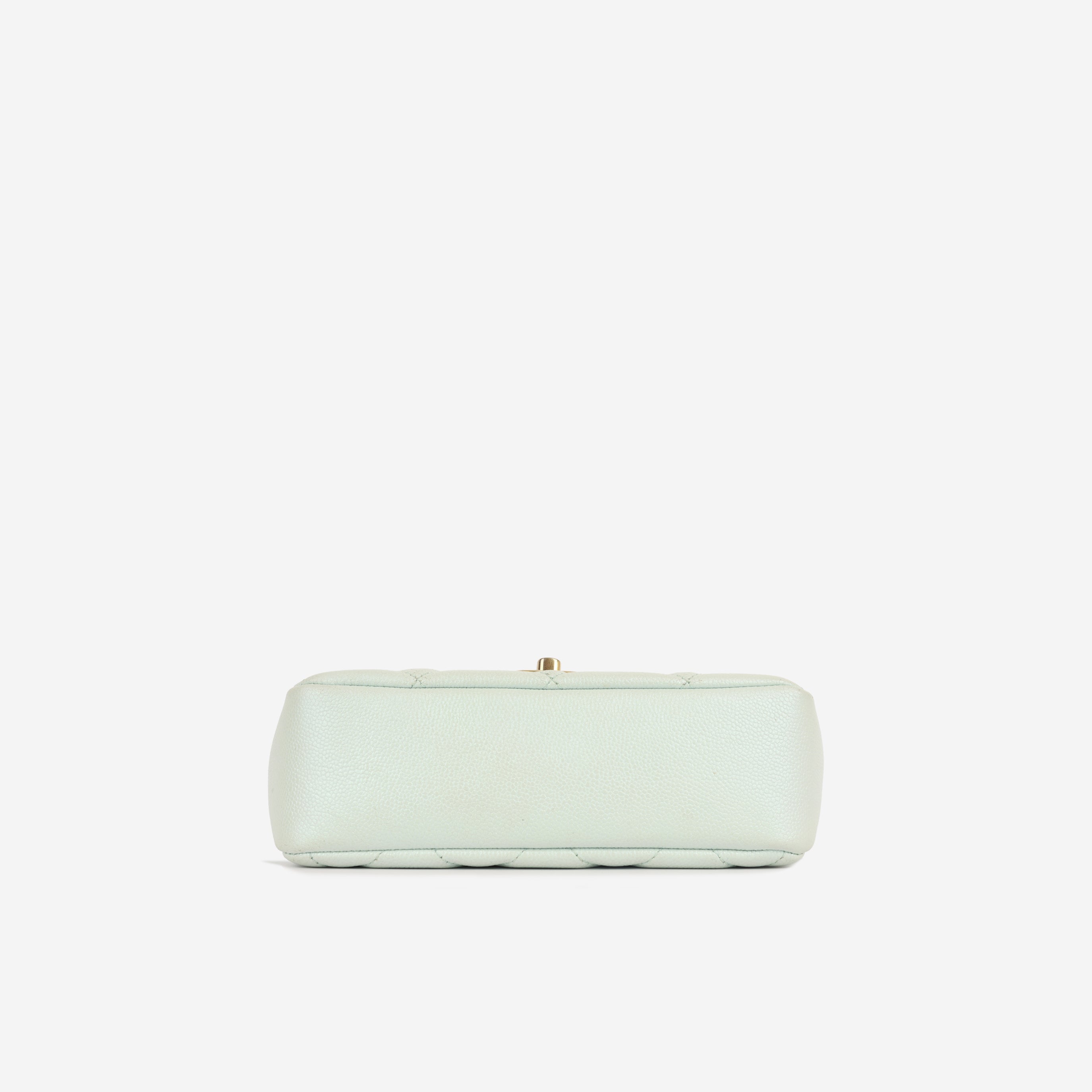 My perfect Flap - Iridescent Mint