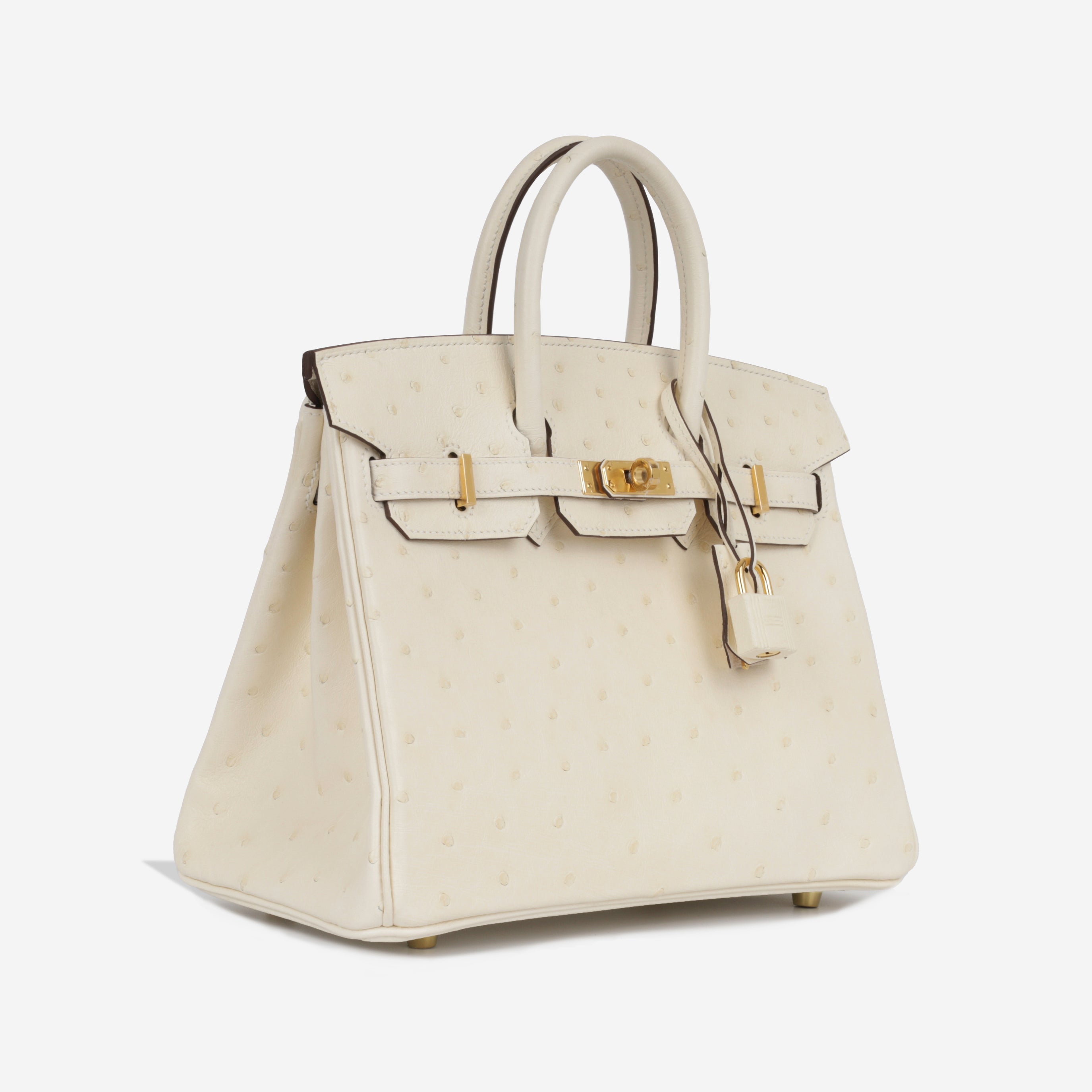 Birkin 25 - Nata Ostrich