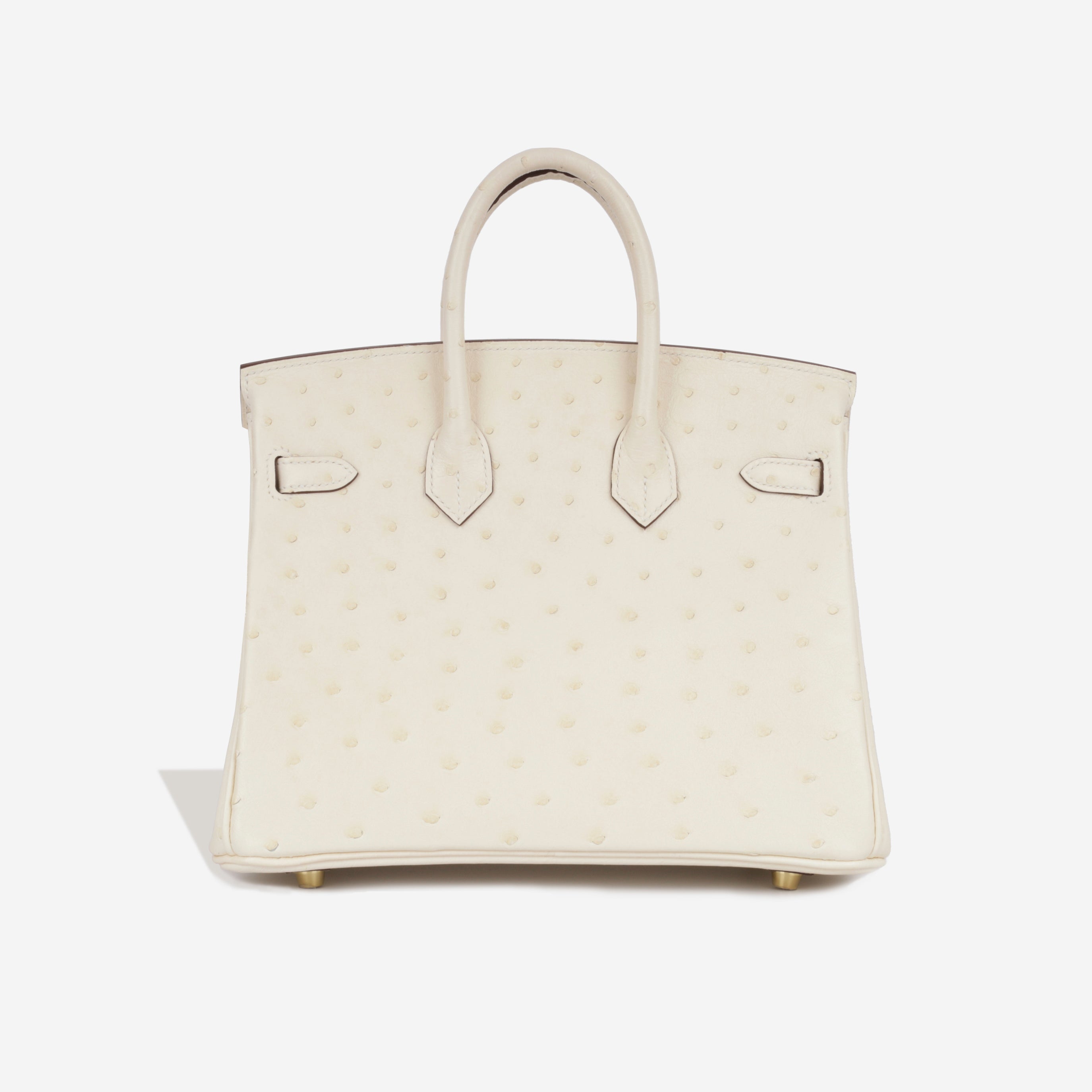 Birkin 25 - Nata Ostrich