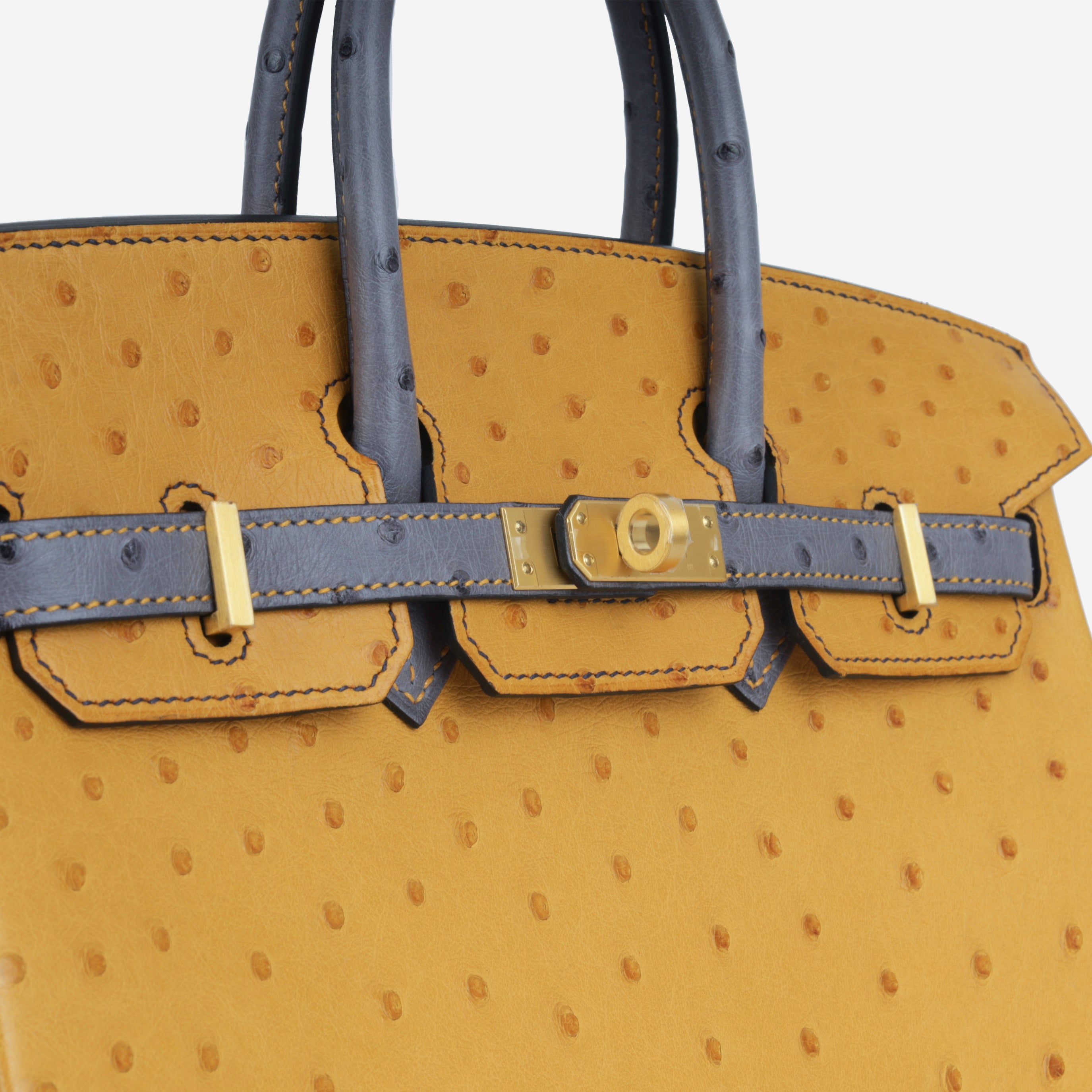 HSS Birkin 25 - Ostrich