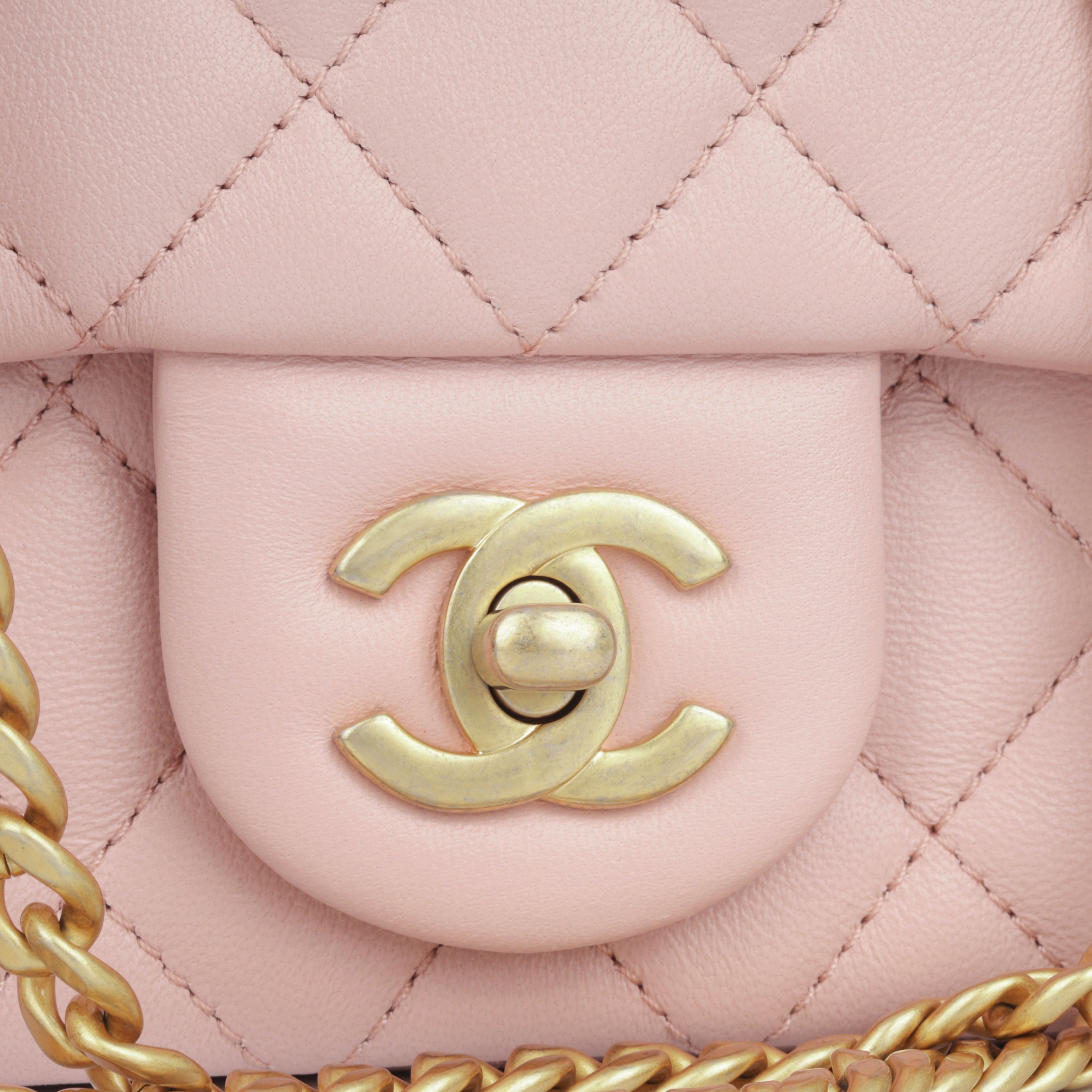 Camellia Crush Mini Flap