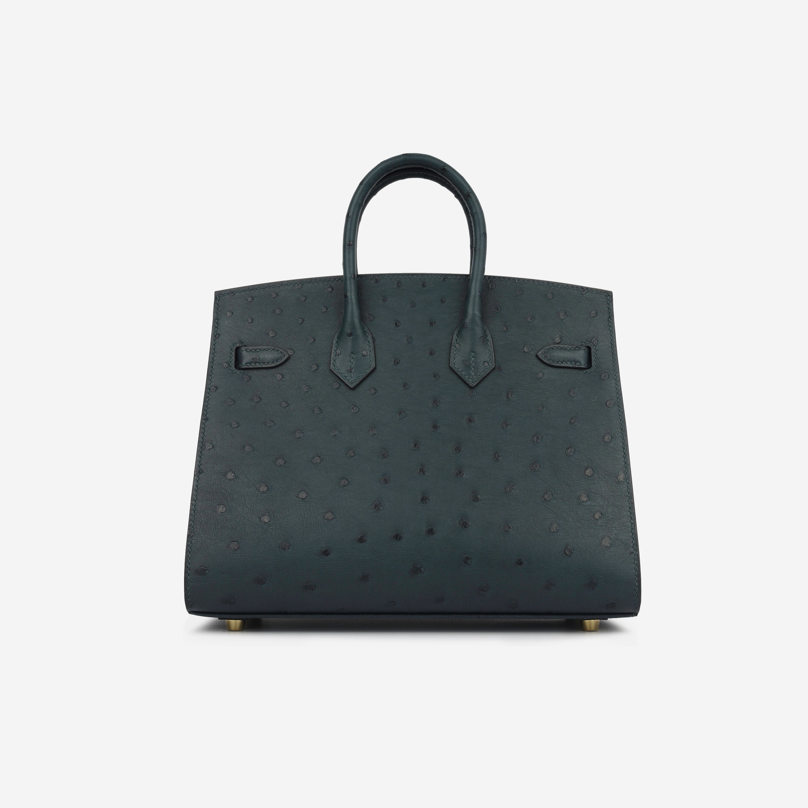 Birkin 25 - Vert Cypres Ostrich