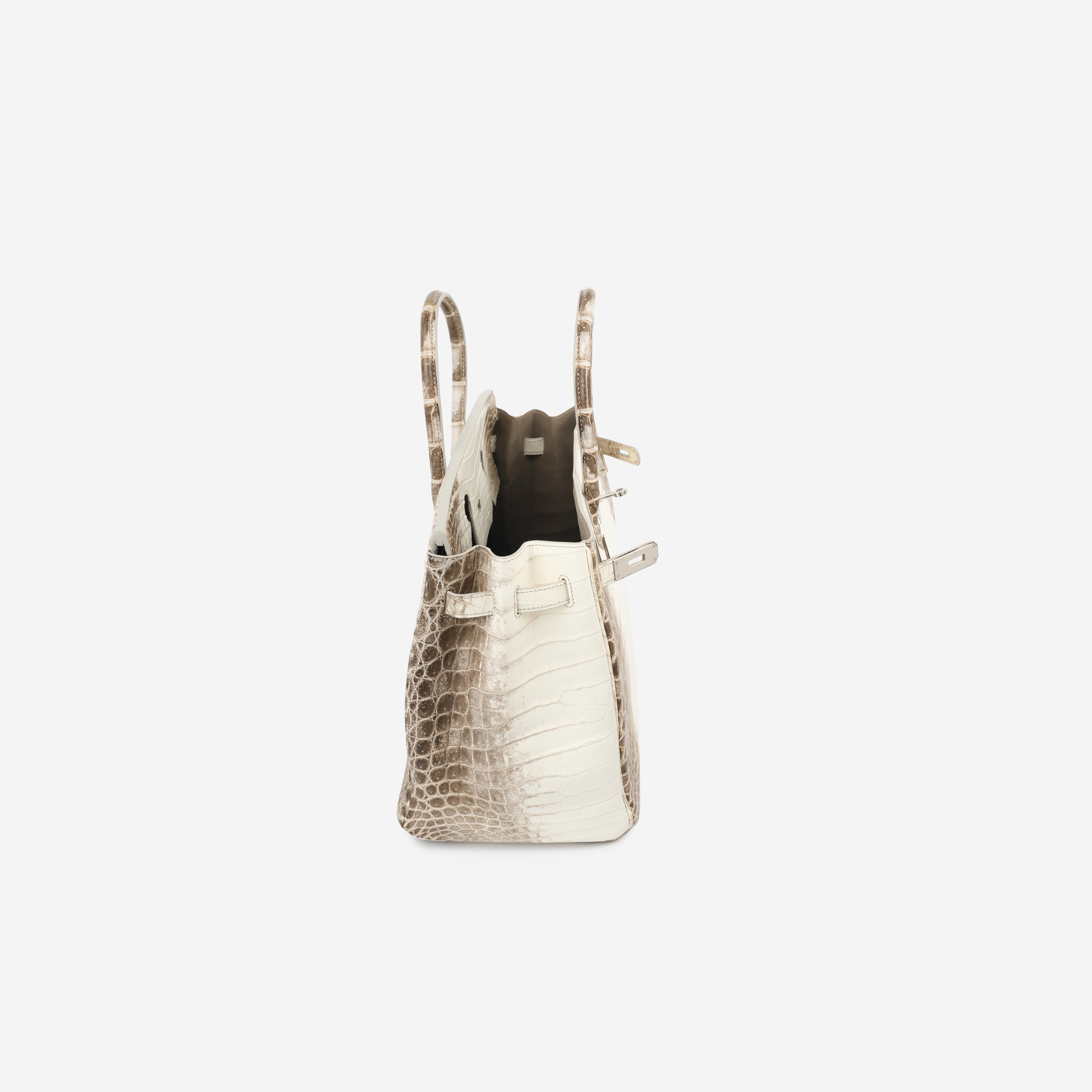 Birkin 35 - Himalaya Crocodile Niloticus