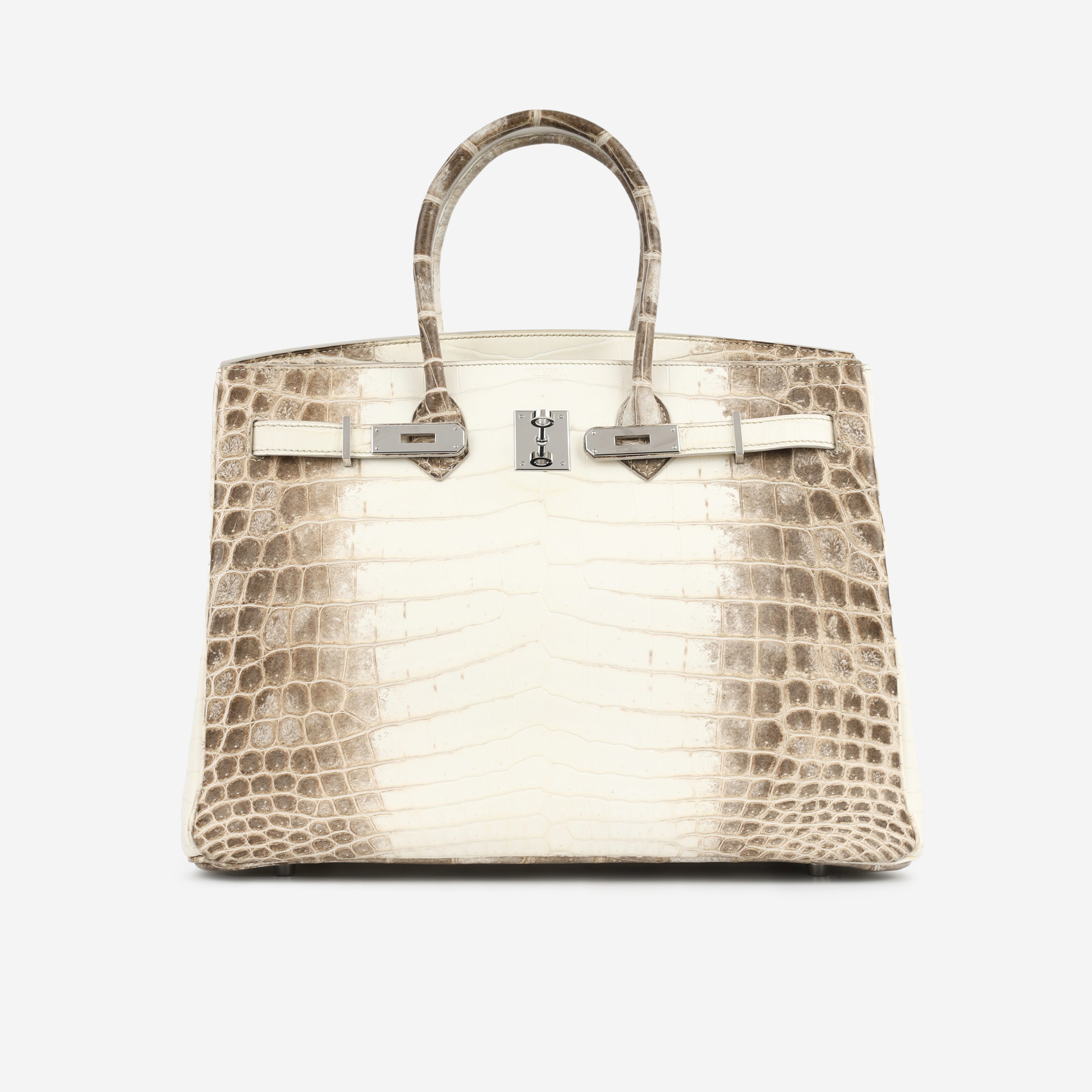 Birkin 35 - Himalaya Crocodile Niloticus