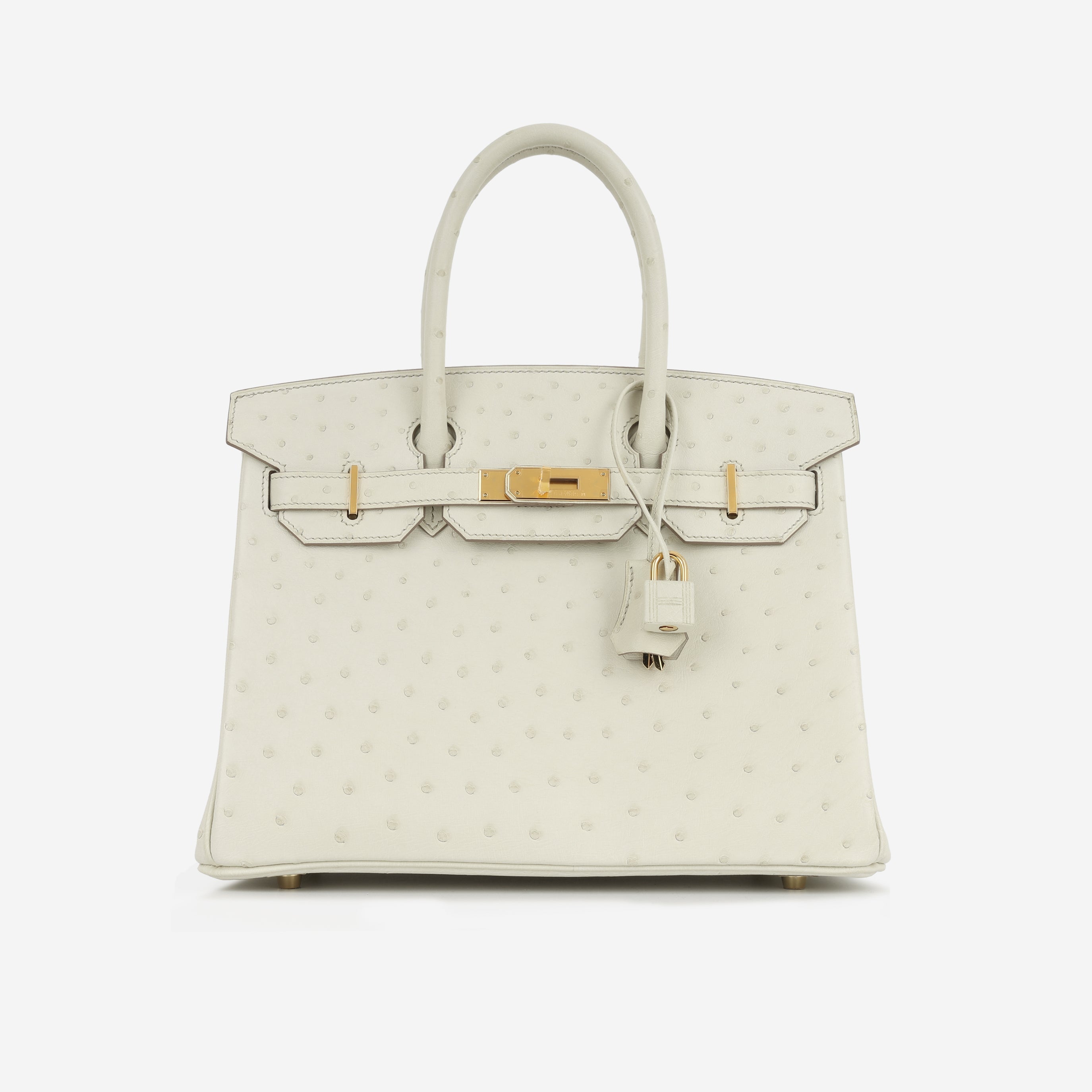 Birkin 30