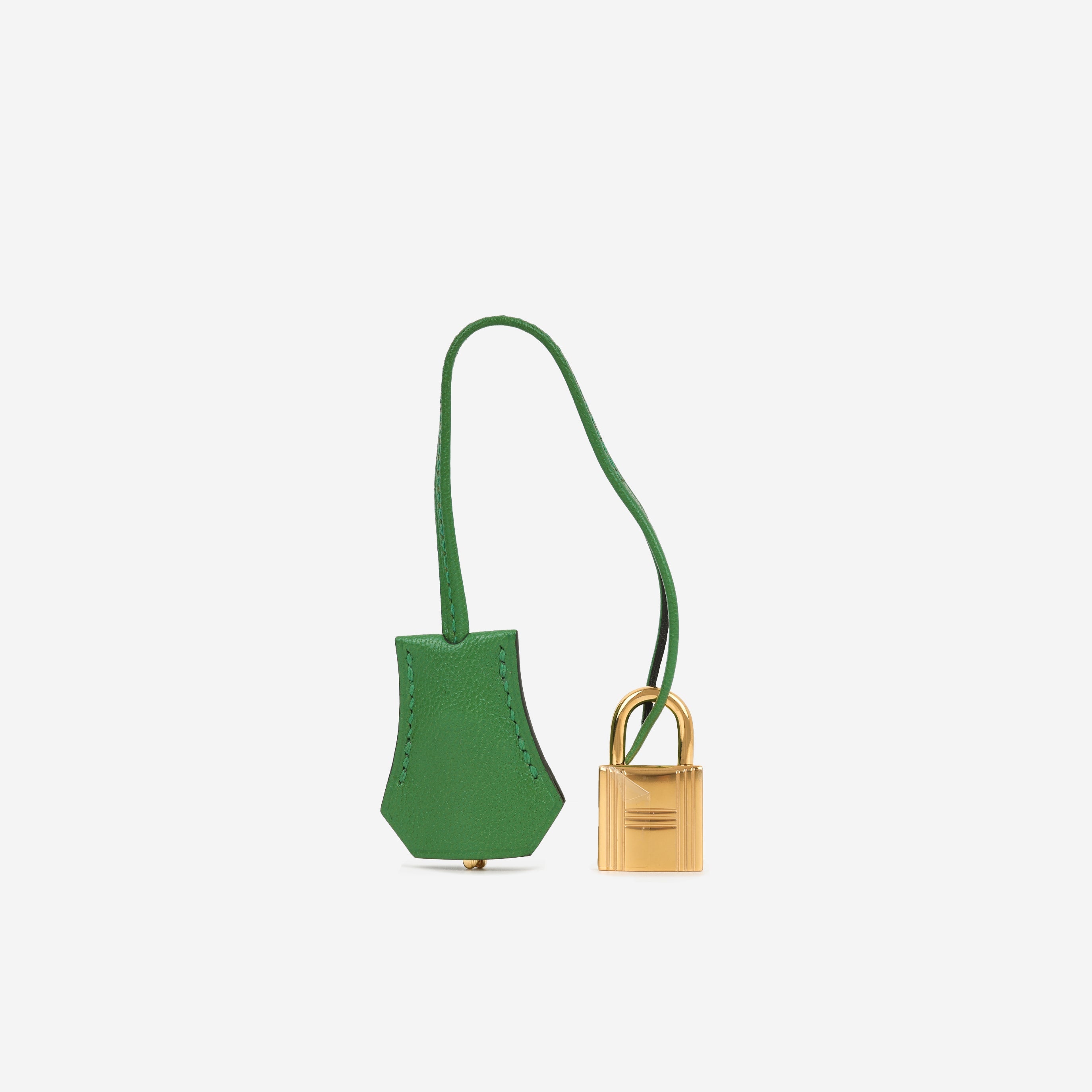 Hermès Kelly 25 - Bambou Chevre Chamkila