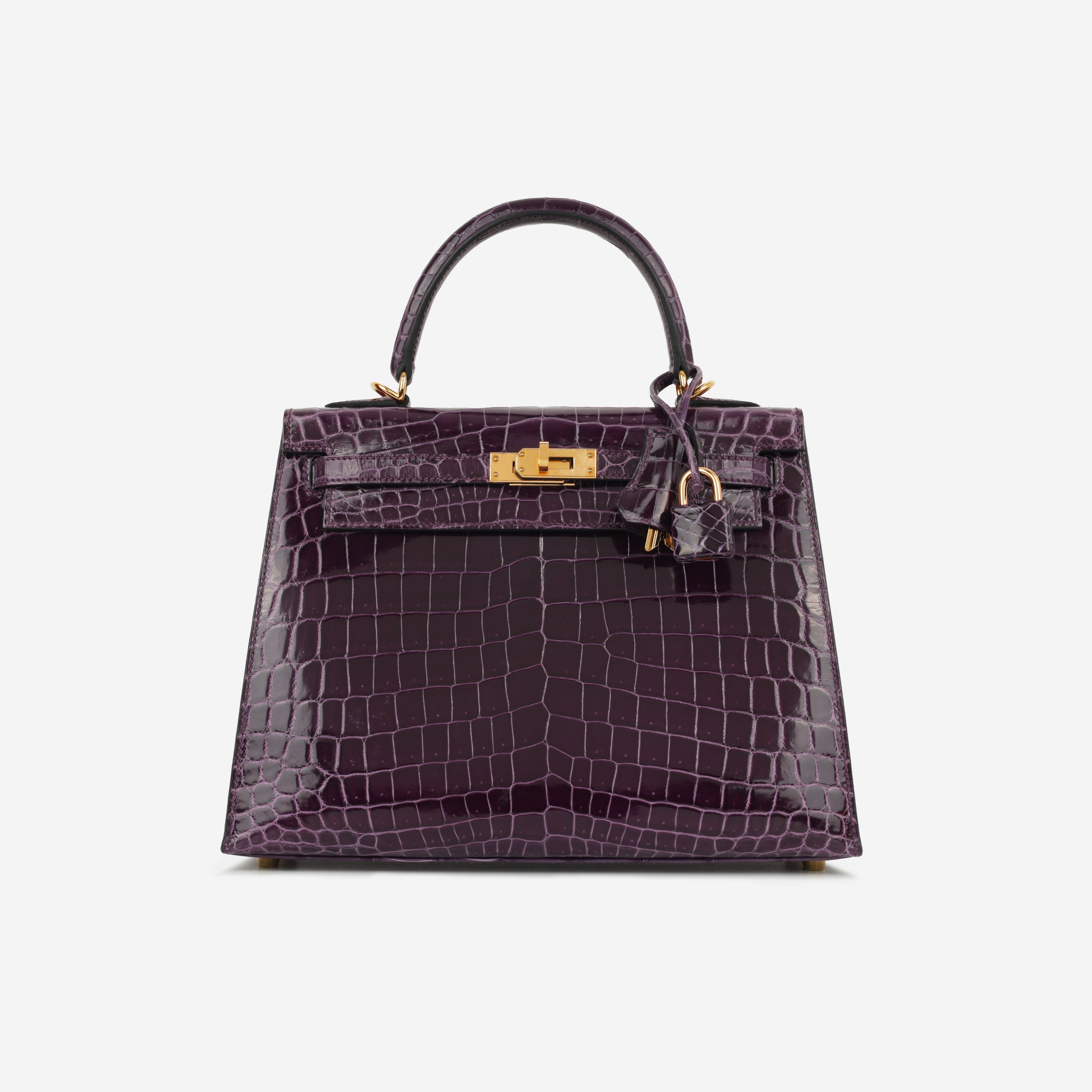 Hermès Kelly 25 - Cassis Crocodile Niloticus | Gold Hardware